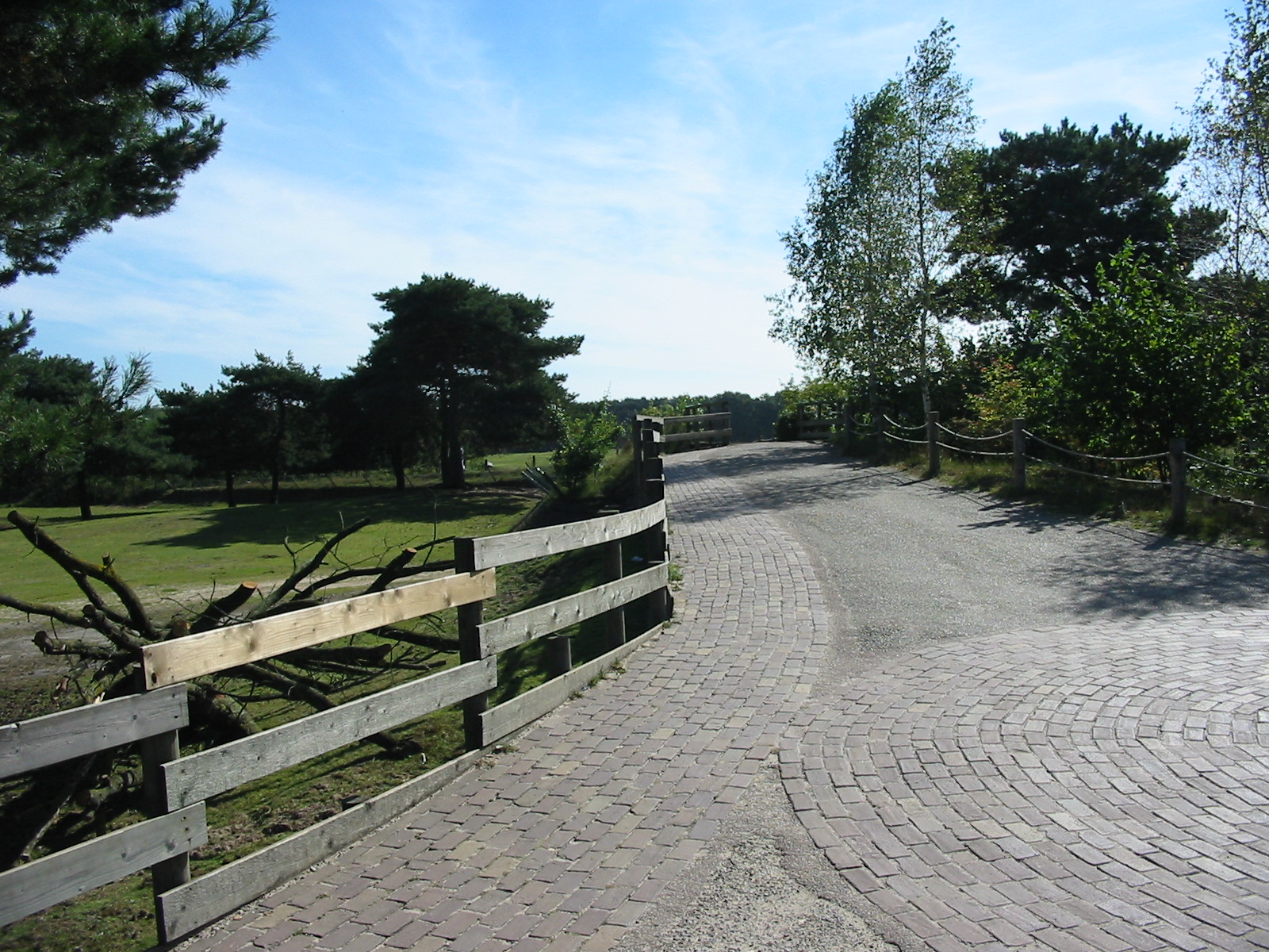 Safari Beekse Bergen 2004 - General view