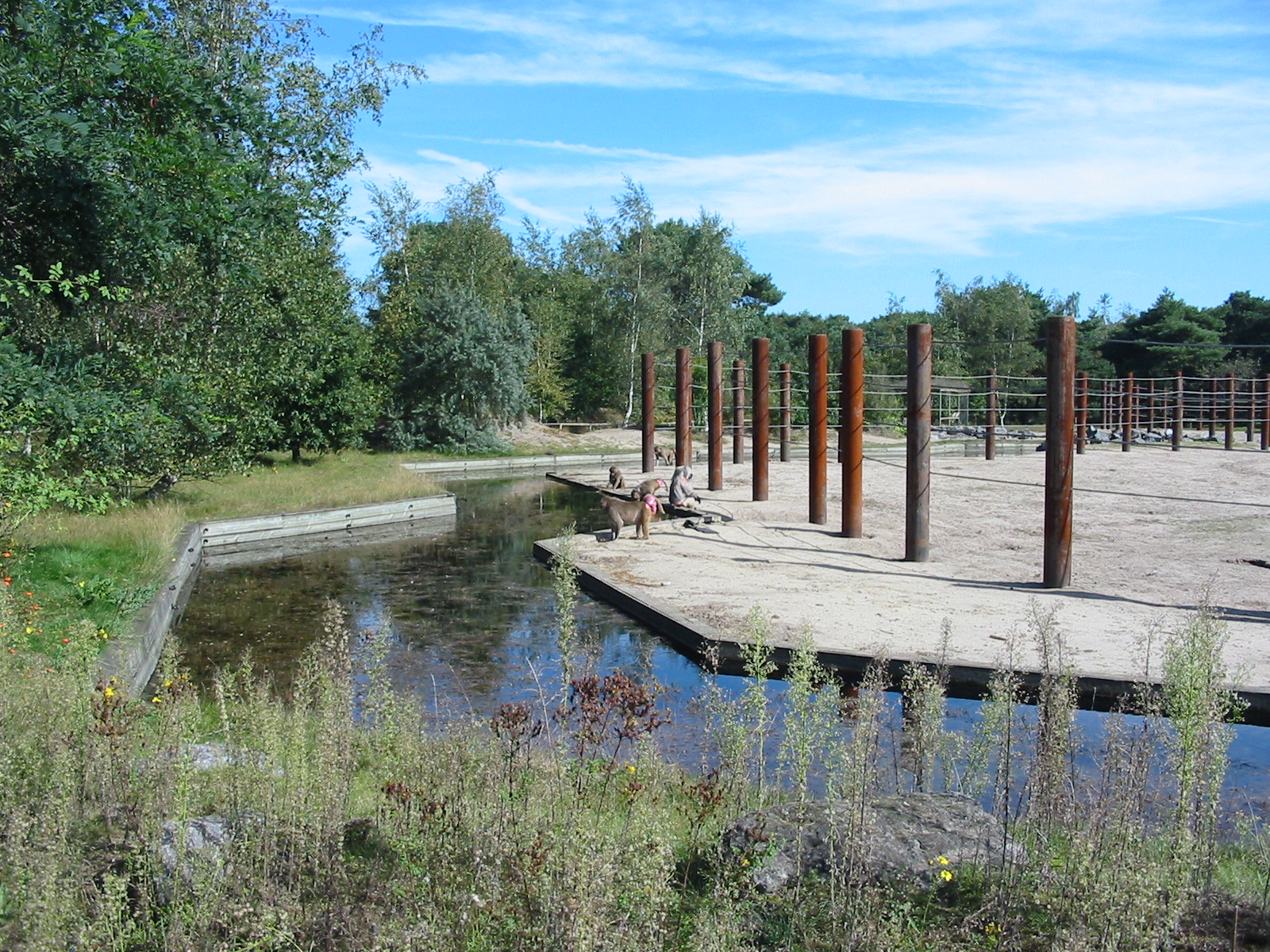 Safari Beekse Bergen 2004 - Paddock for African Elephants and Baboons