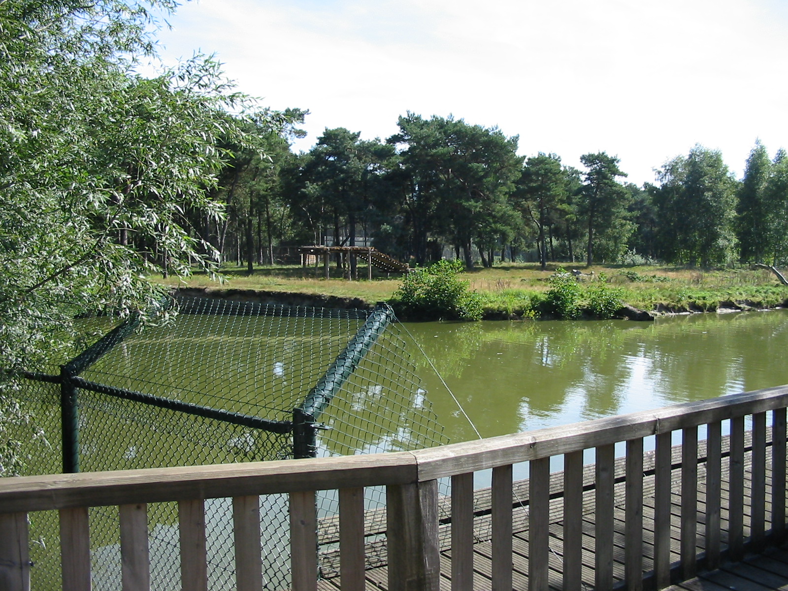 Safari Beekse Bergen 2004 - Siberian Tiger Island