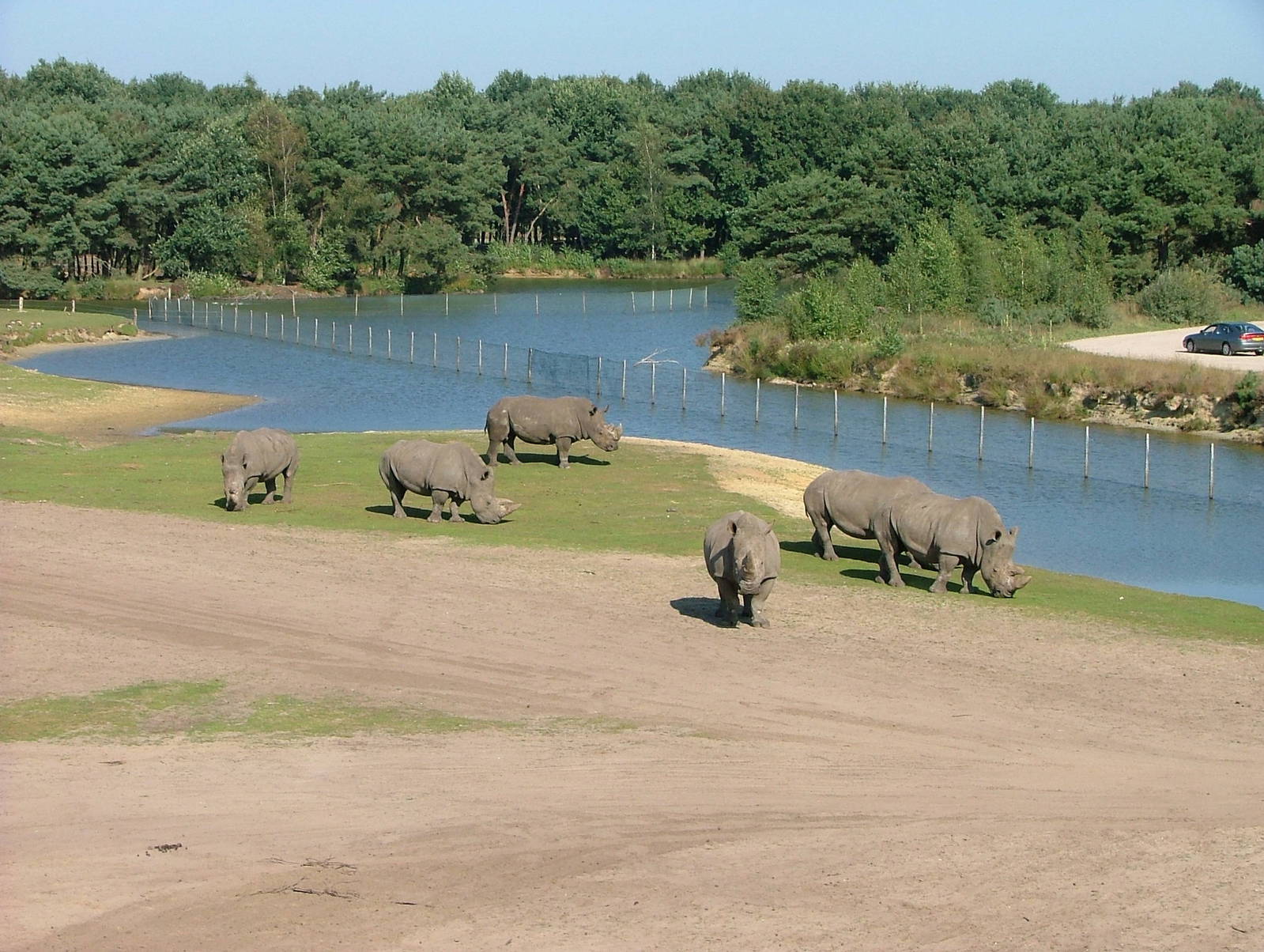 Safari Beekse Bergen