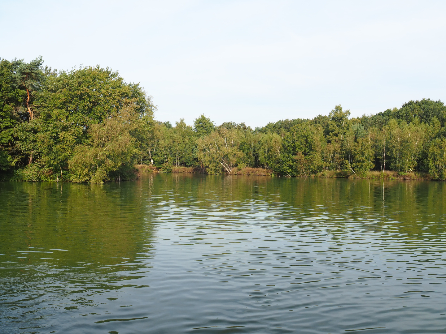 Safari boat canal,  2019-09-15