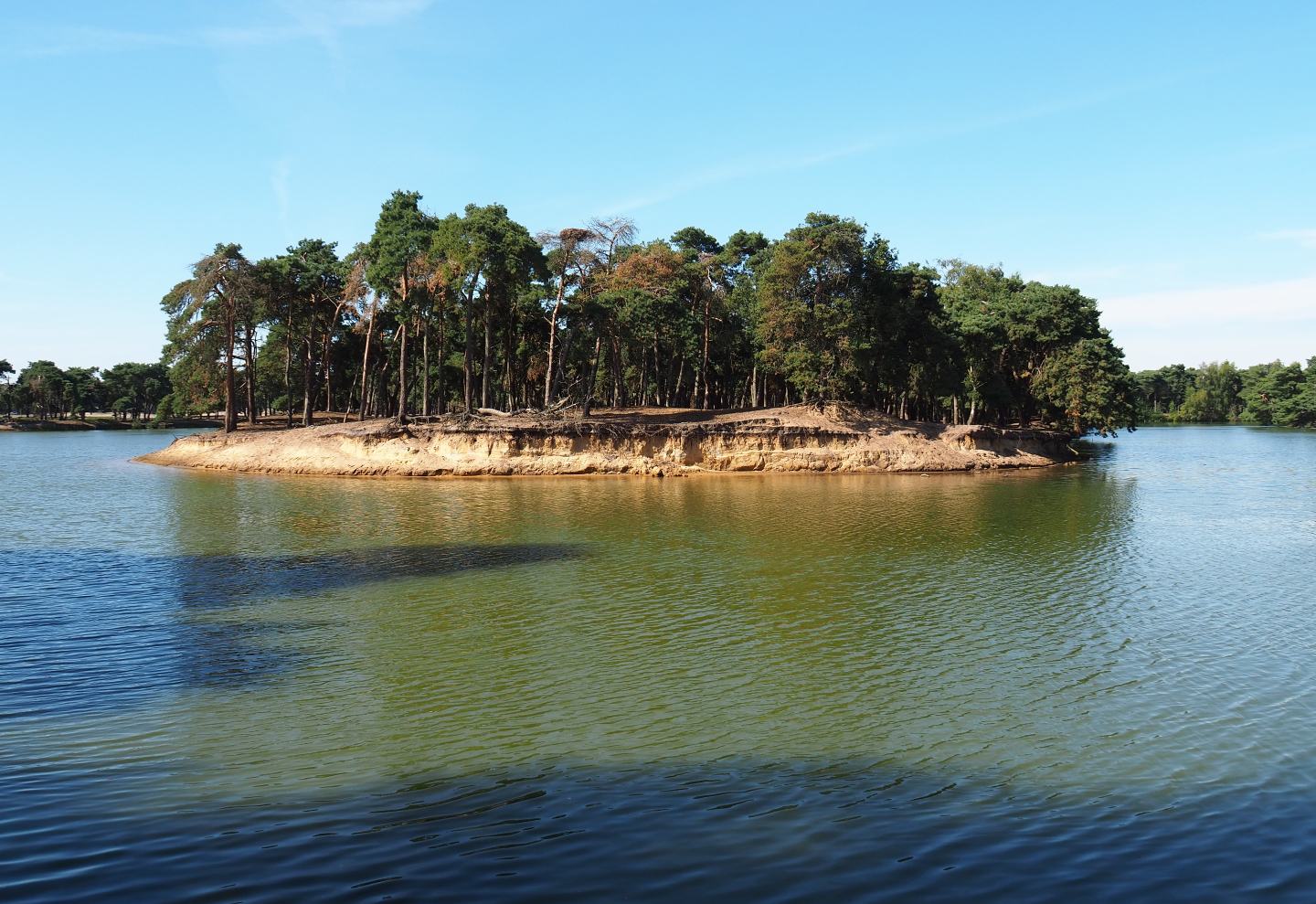 Safari boat canal with yak exhibit, 2019-09-15