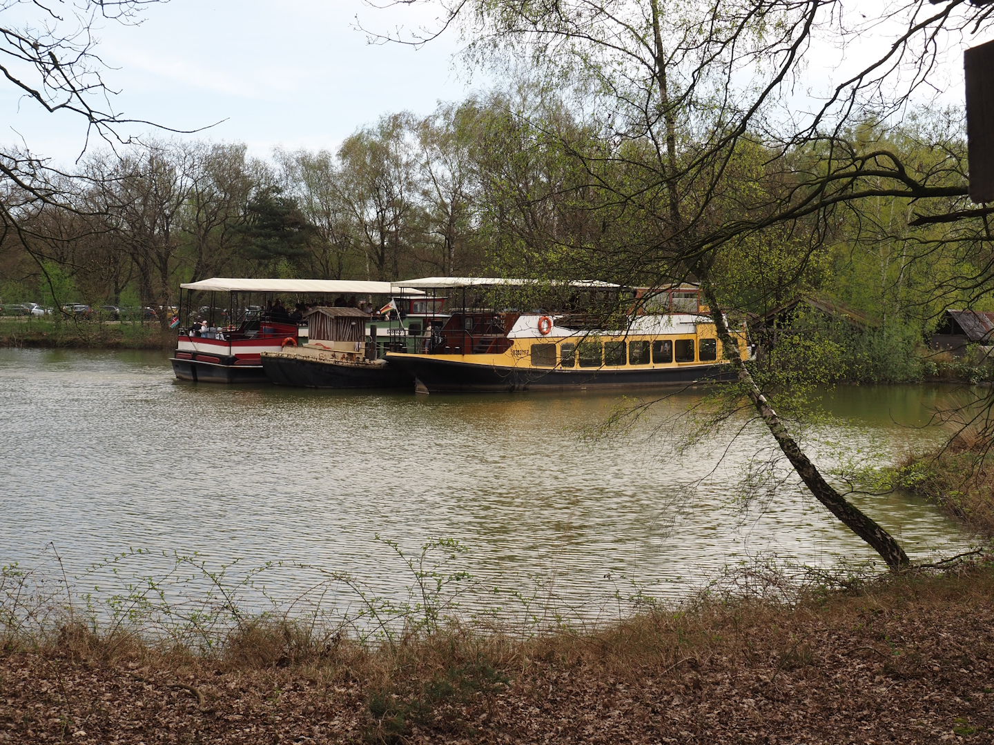 Safari boat dock, 2024-04-06