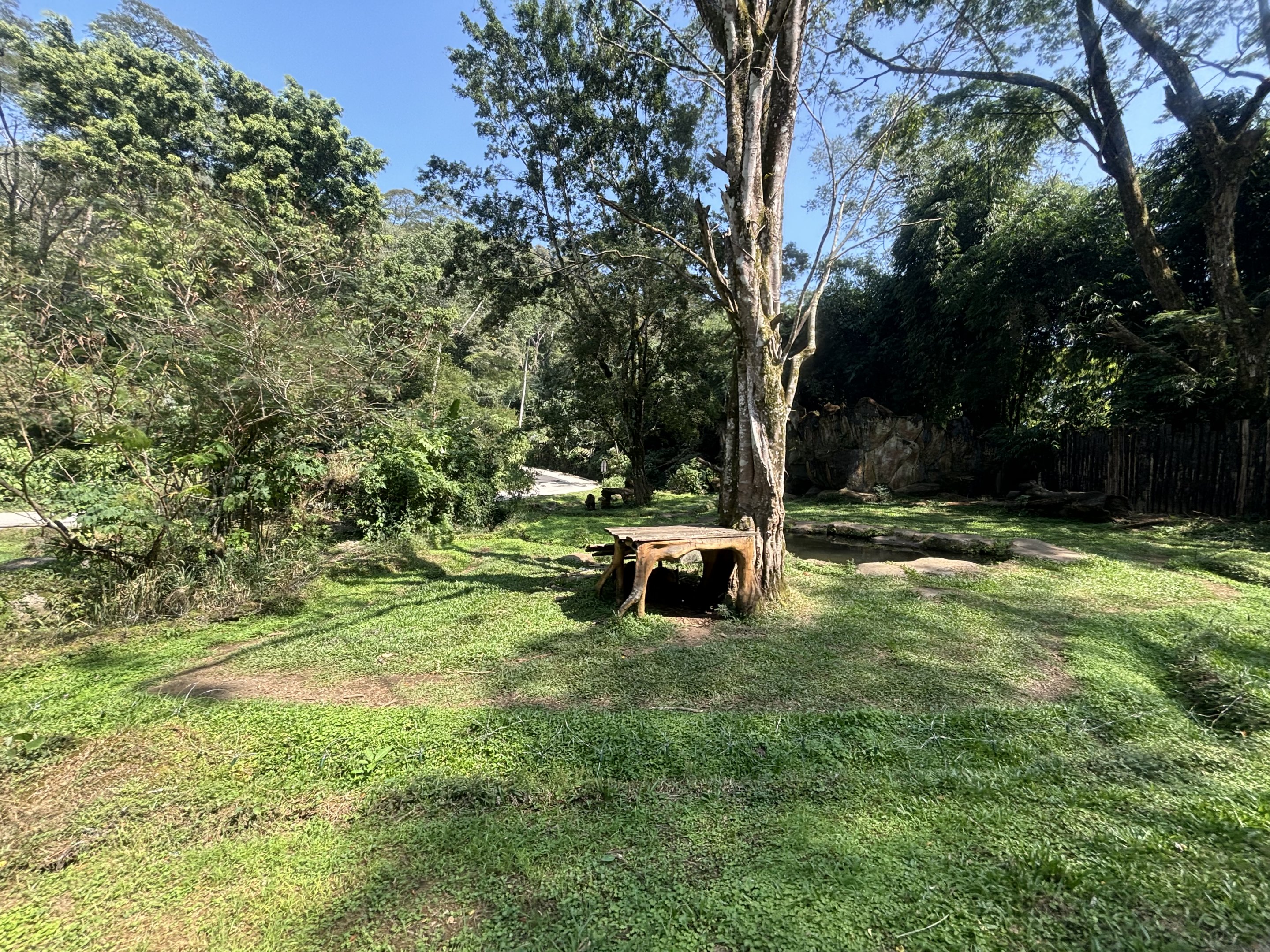 Safari - Brown Bear Exhibit