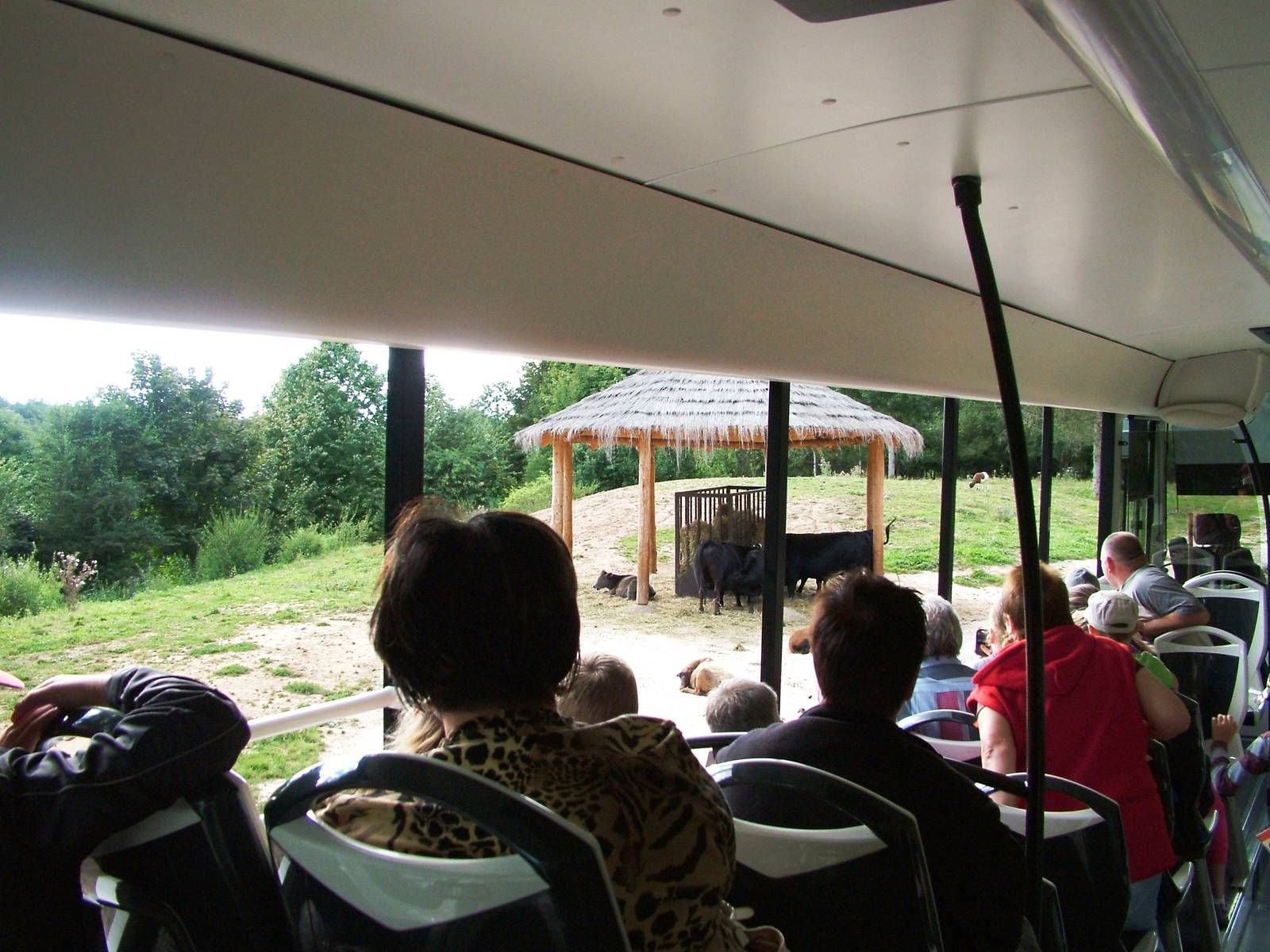 Safari Bus Tour at Dvur Kralove, 27/08/12