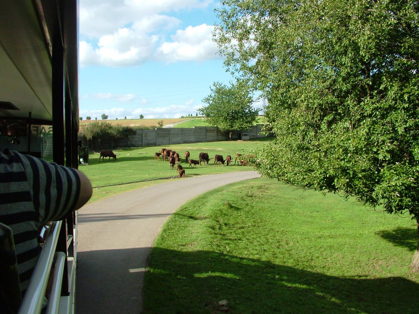 Safari Bus Tour at Dvur Kralove, 27/08/12