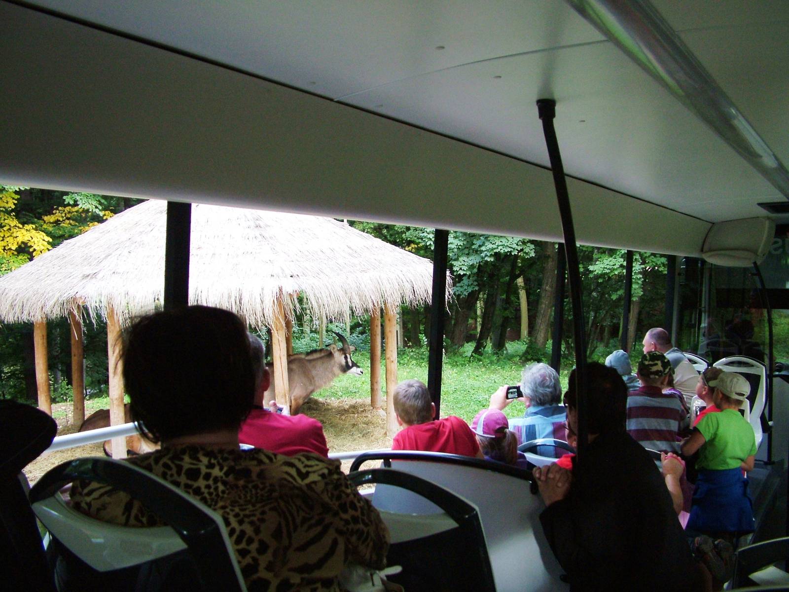 Safari Bus Tour at Dvur Kralove, 27/08/12
