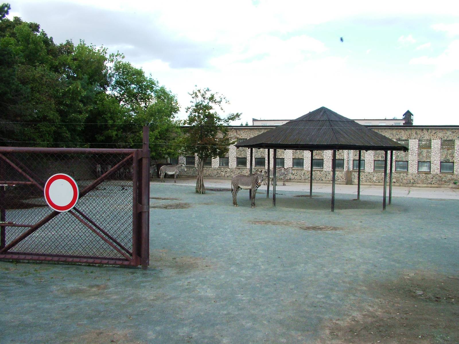 Safari Bus Tour at Dvur Kralove, 27/08/12