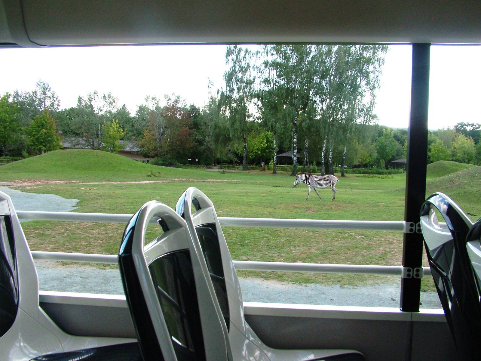 Safari Bus Tour at Dvur Kralove, 27/08/12