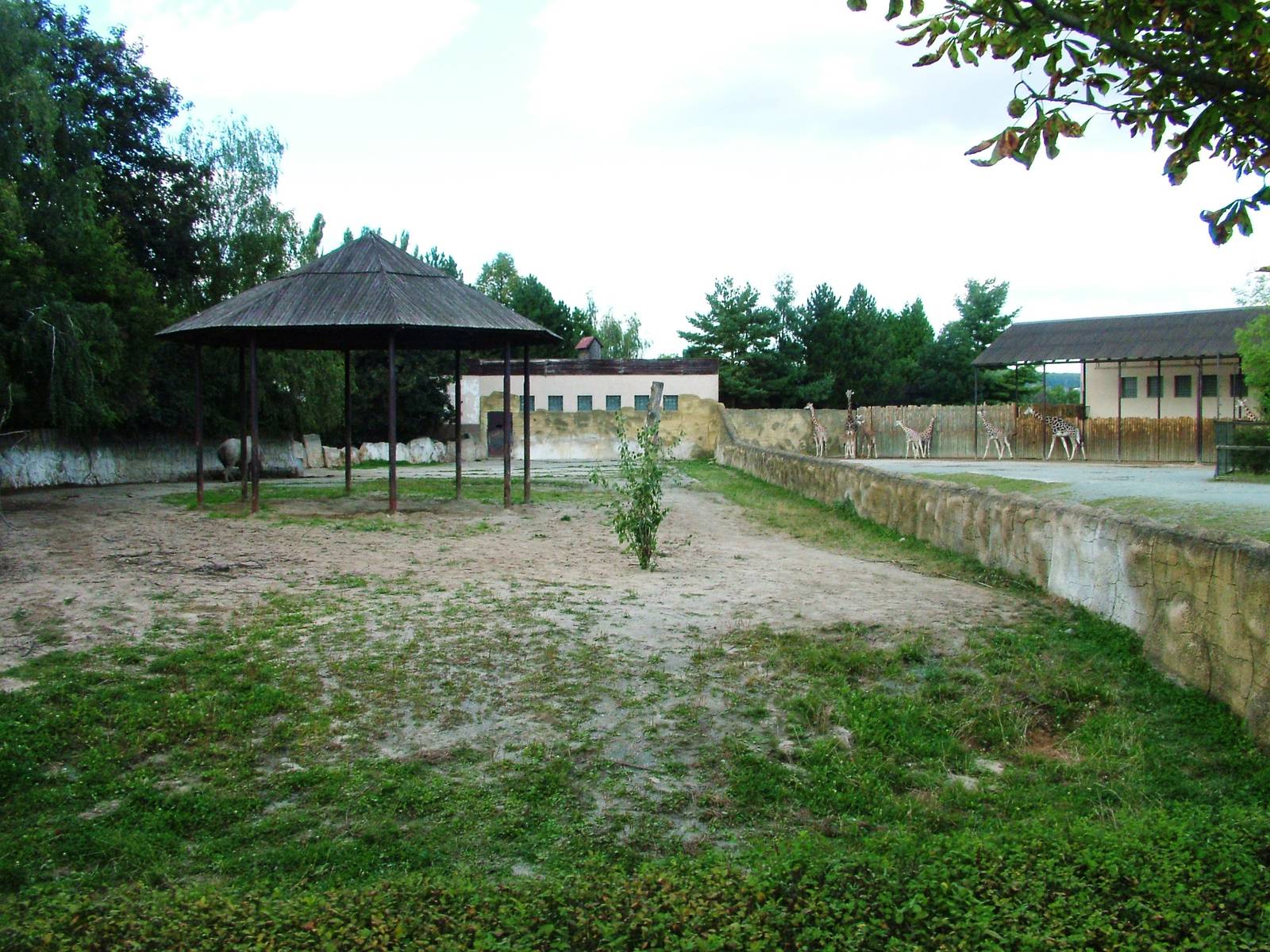 Safari Bus Tour at Dvur Kralove, 27/08/12