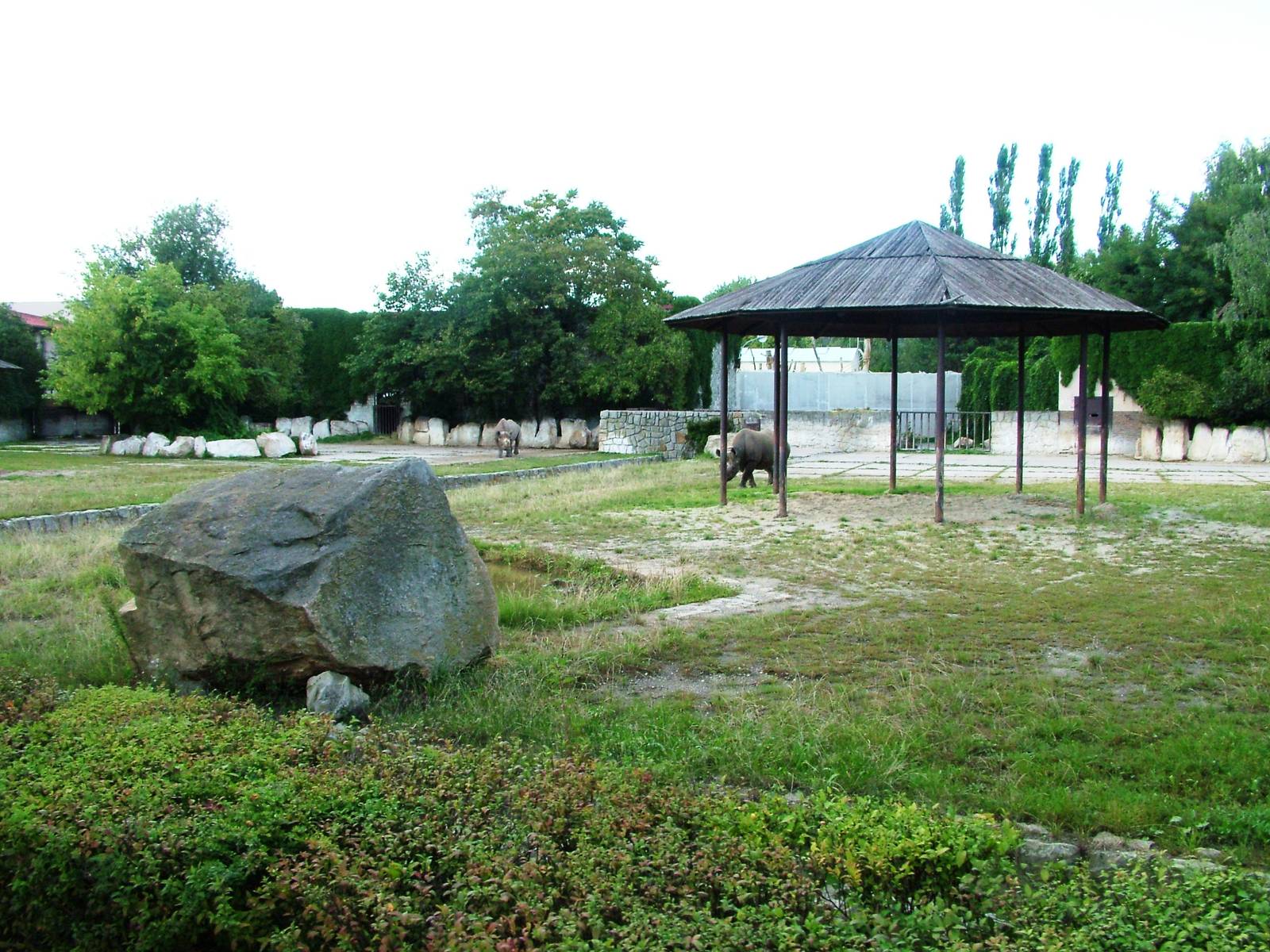 Safari Bus Tour at Dvur Kralove, 27/08/12