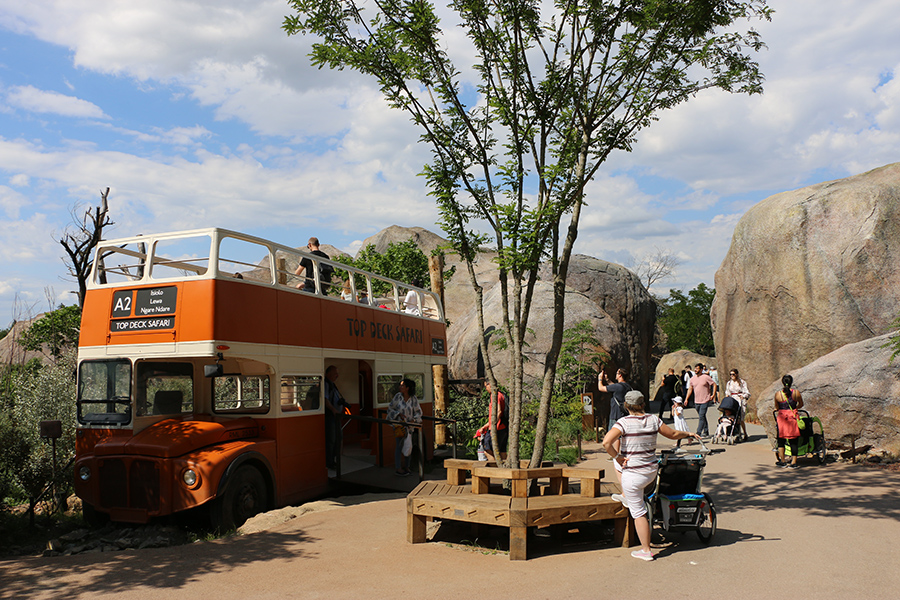 safari bus viewpoint