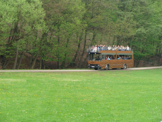 Safari bus