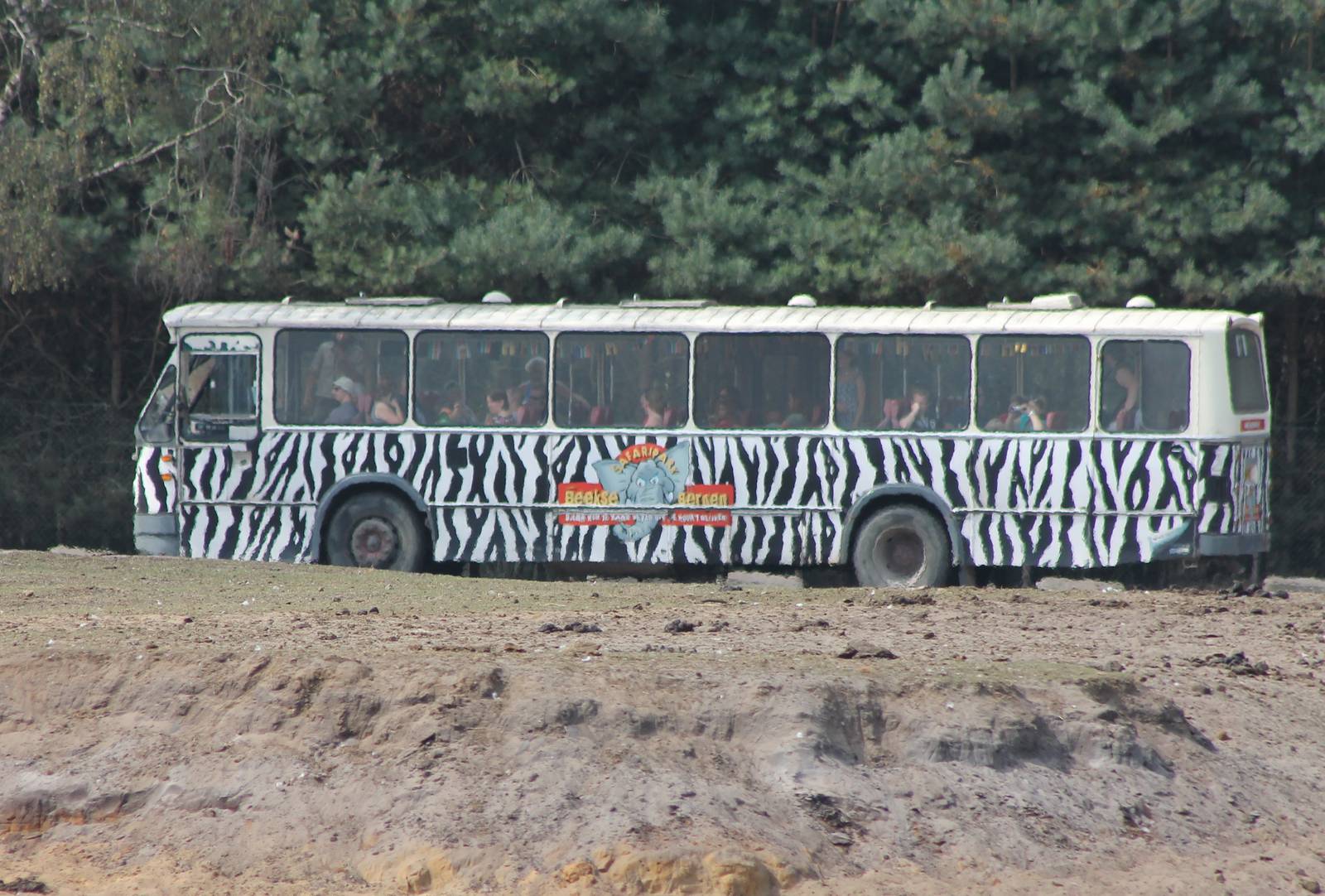 Safari-bus