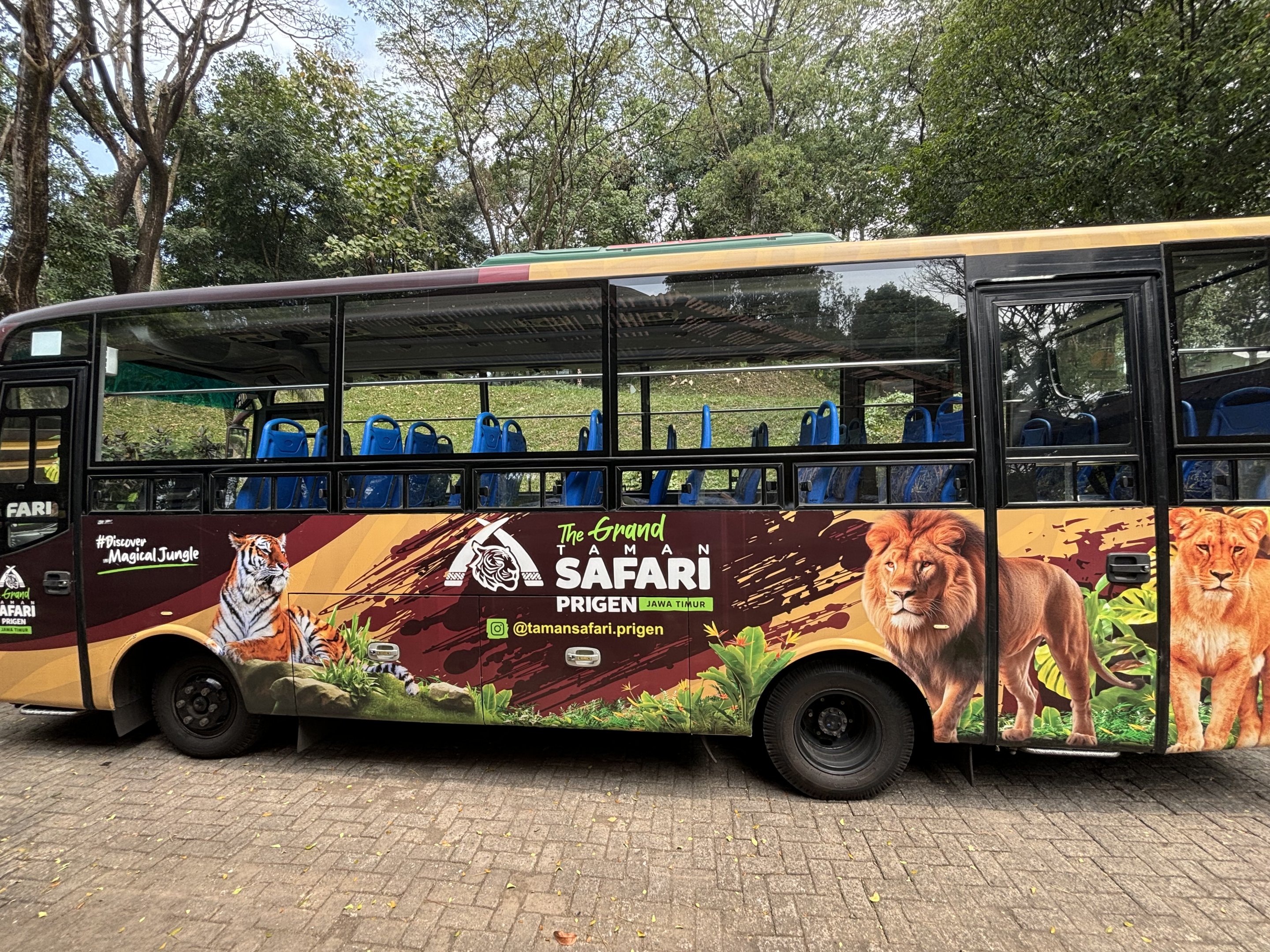 Safari Bus
