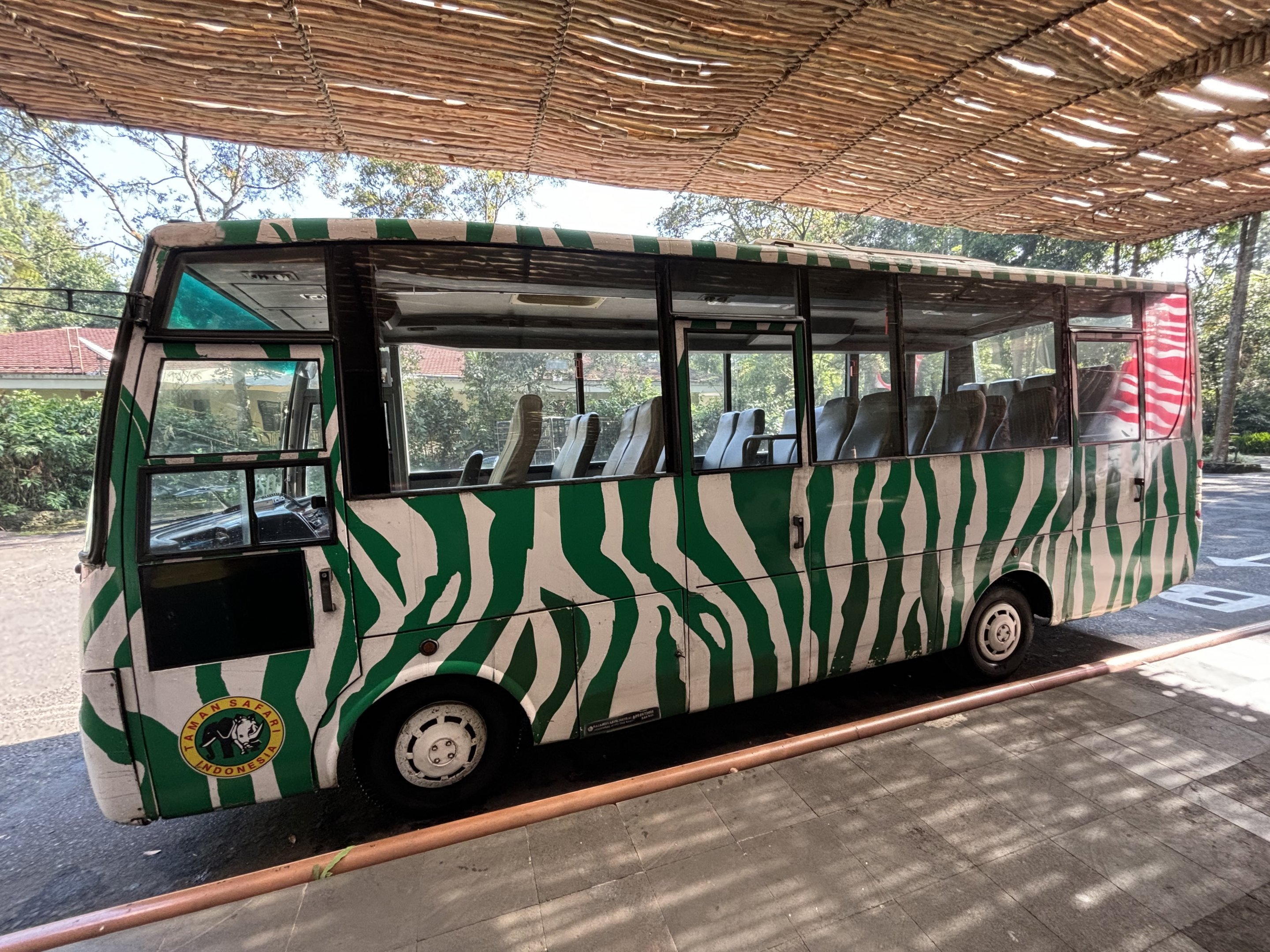 Safari Bus