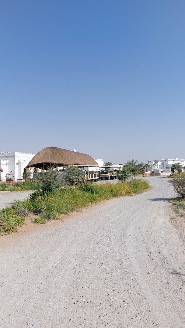 Safari Busses and busstation
