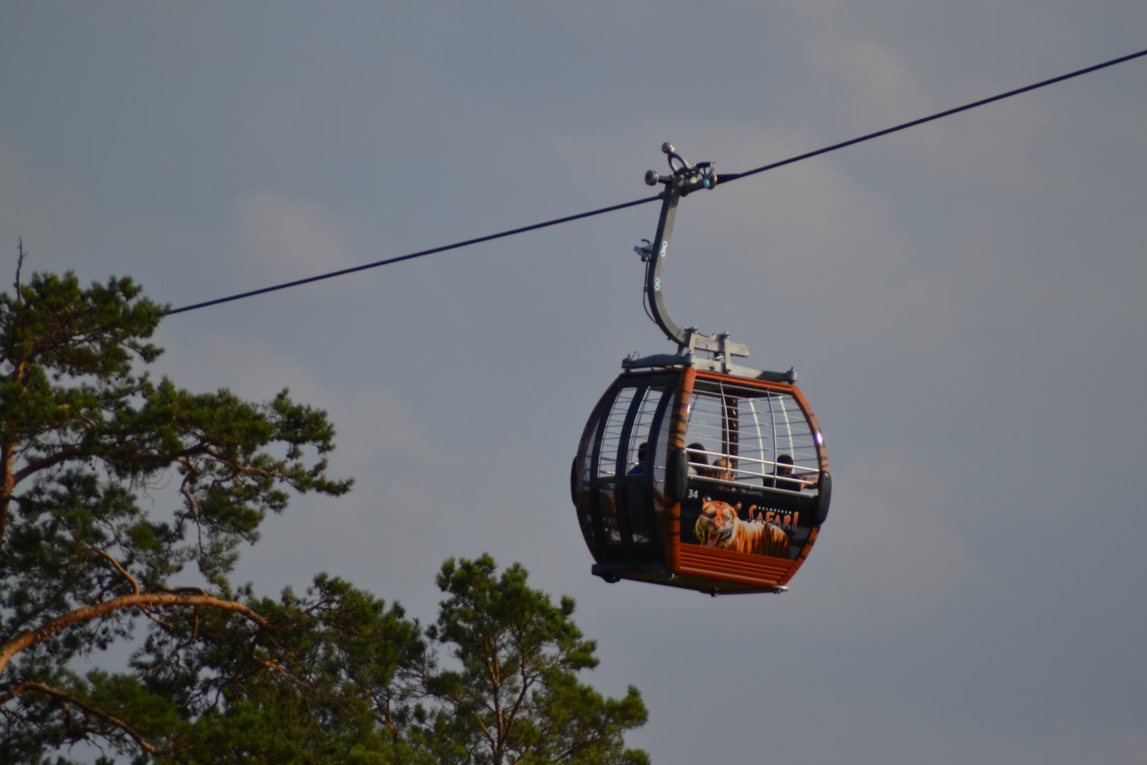 Safari cable car at Kolmården