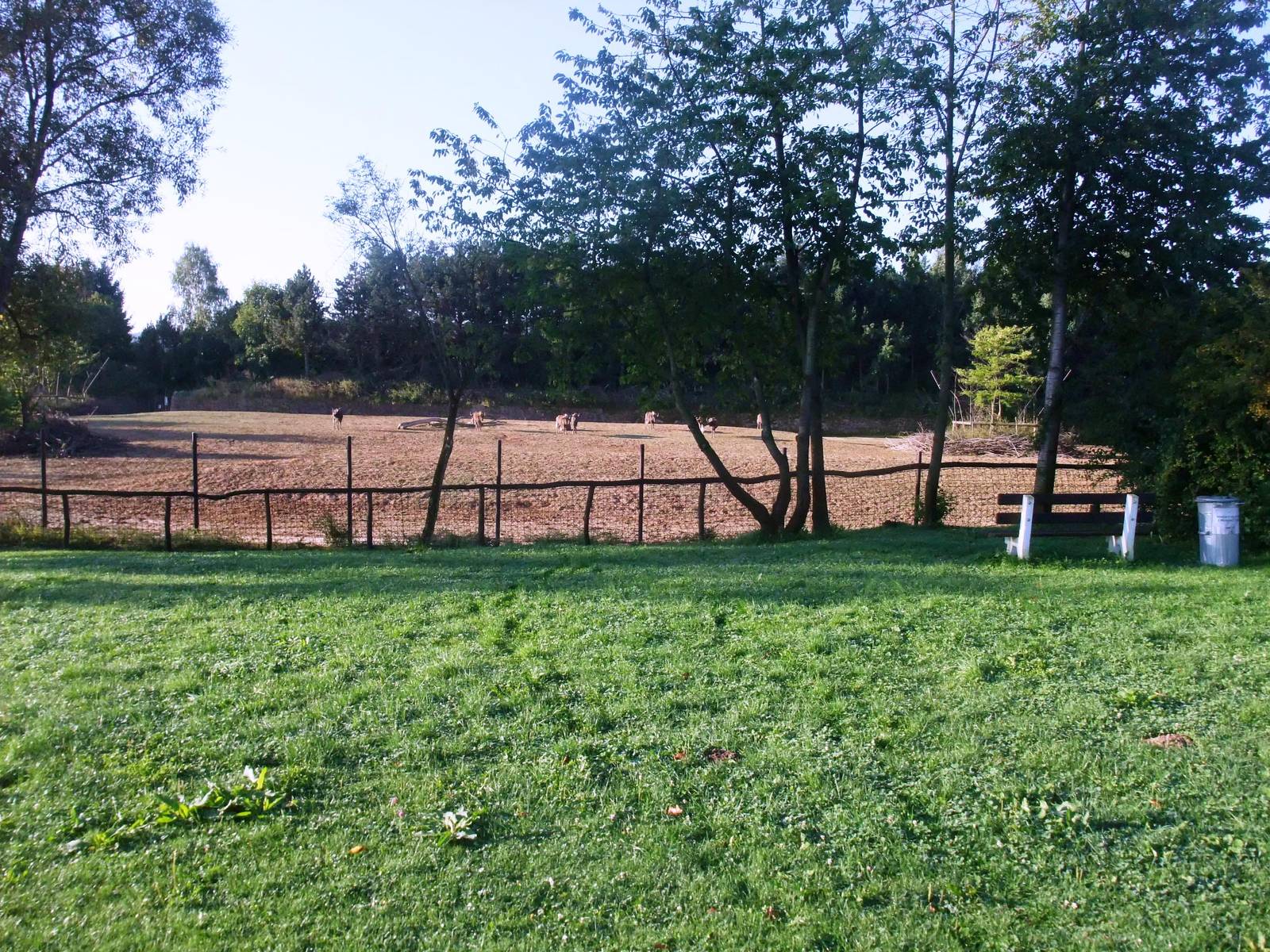 Safari Camp at Dvur Kralove, 28/08/12