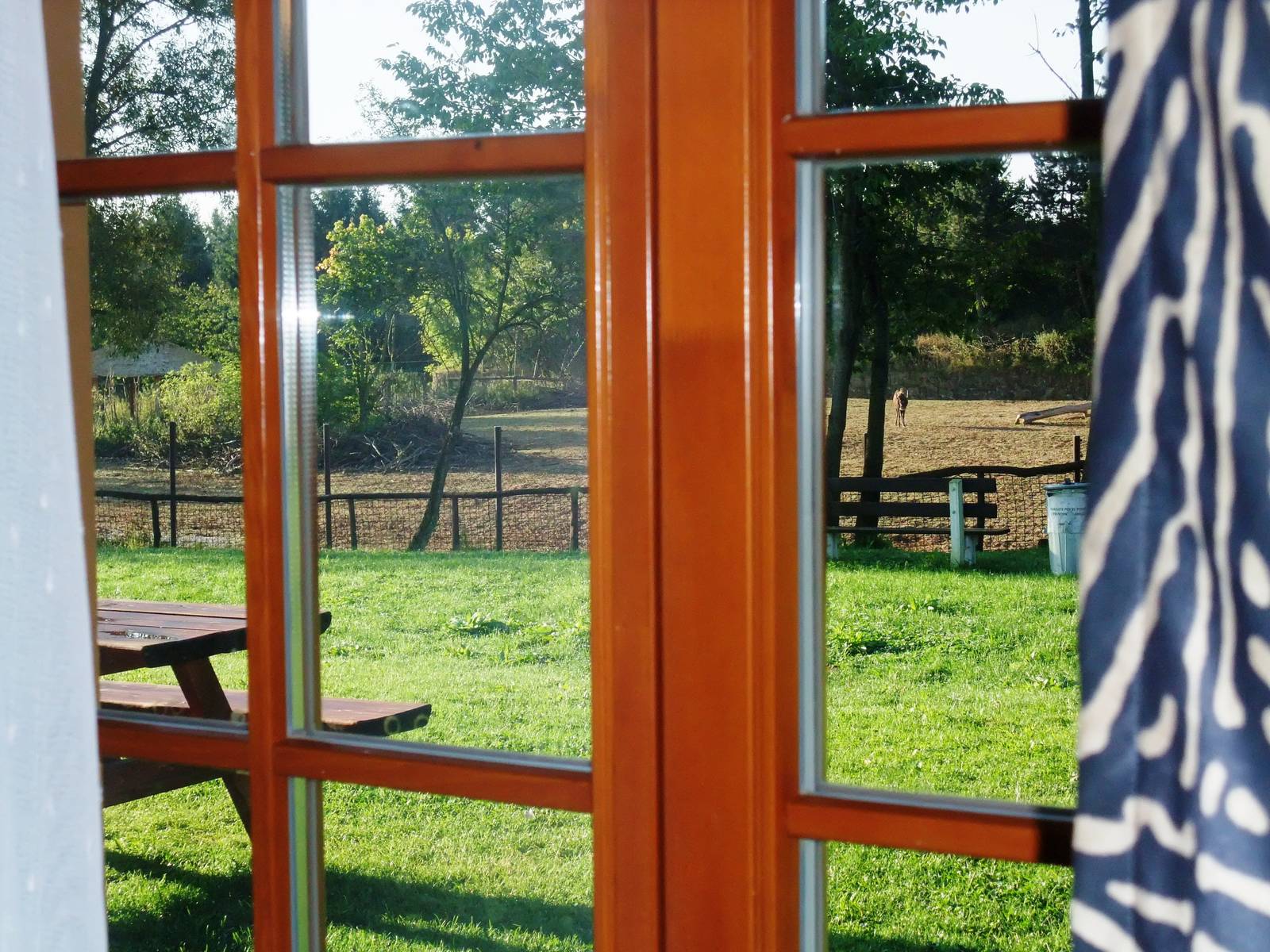 Safari Camp at Dvur Kralove, 28/08/12