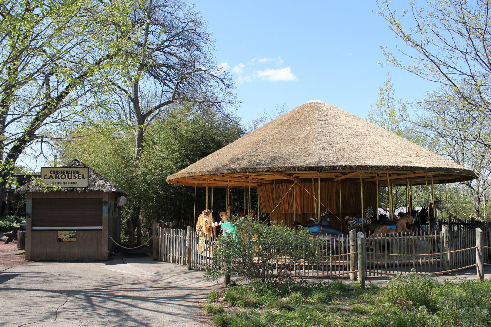 Safari Camp Conservation Carousel