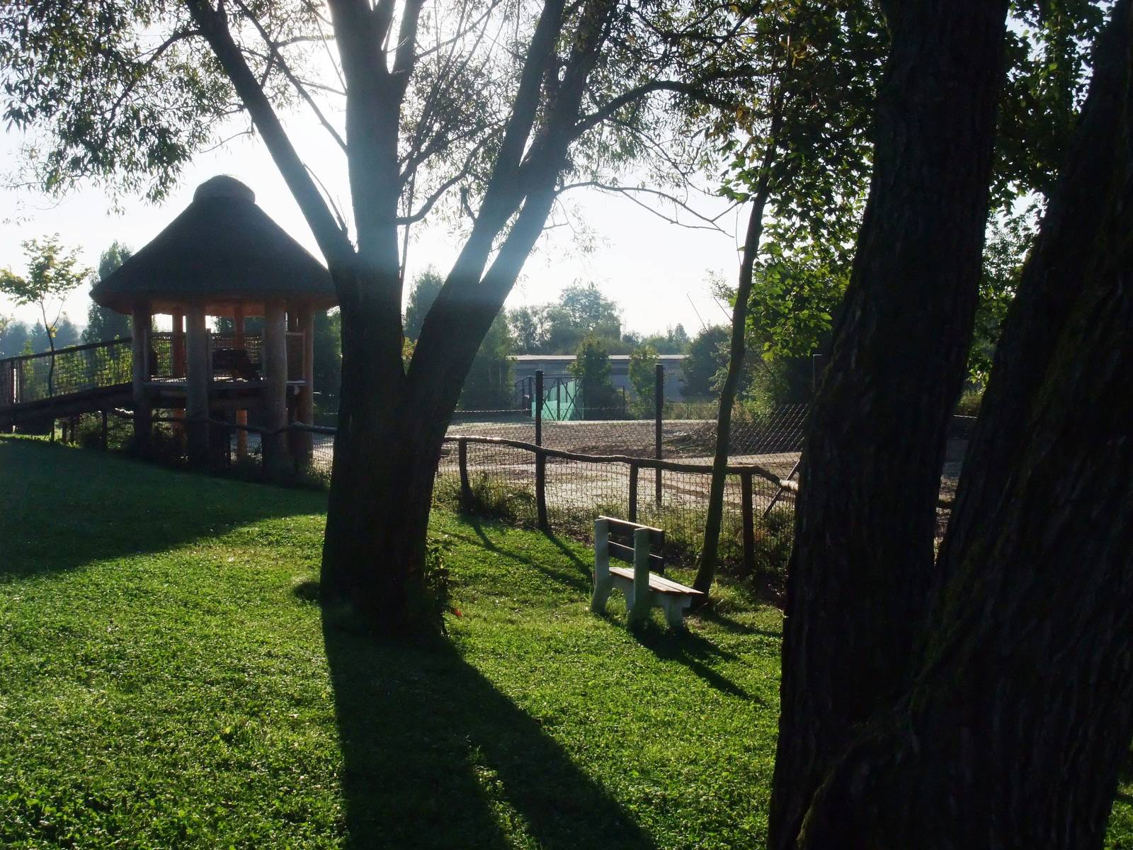 Safari Camp Paddock Viewing at Dvur Kralove, 28/08/12