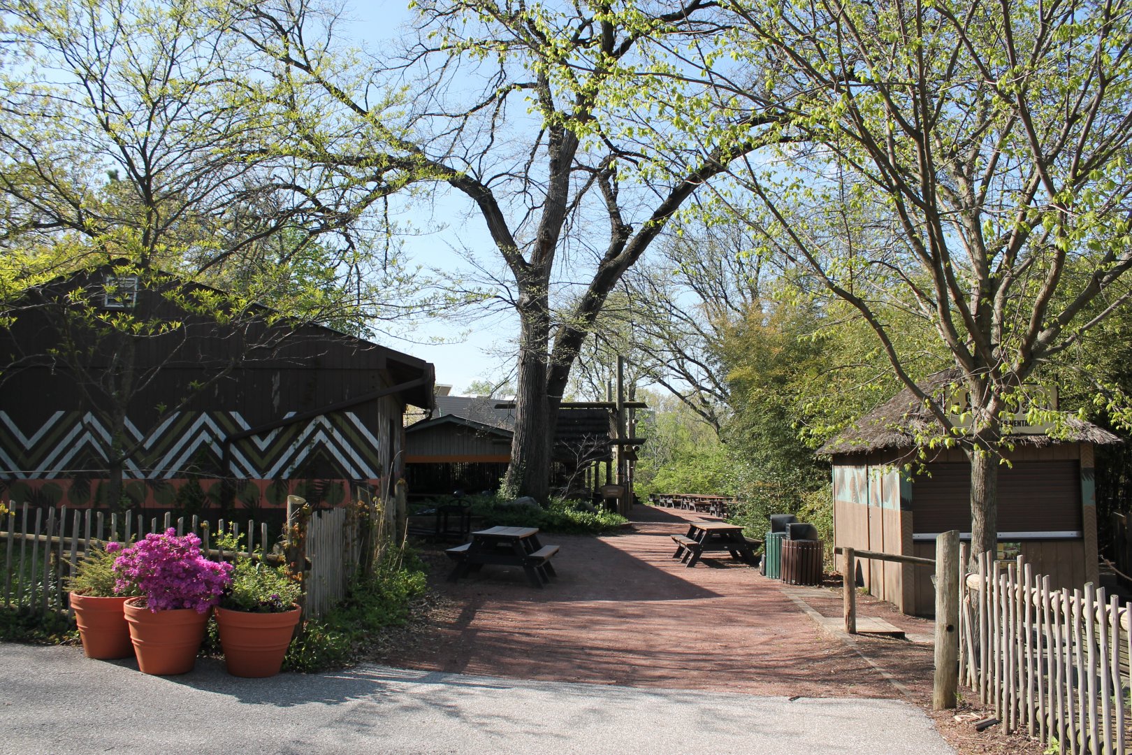 Safari Camp Picnic Shelters