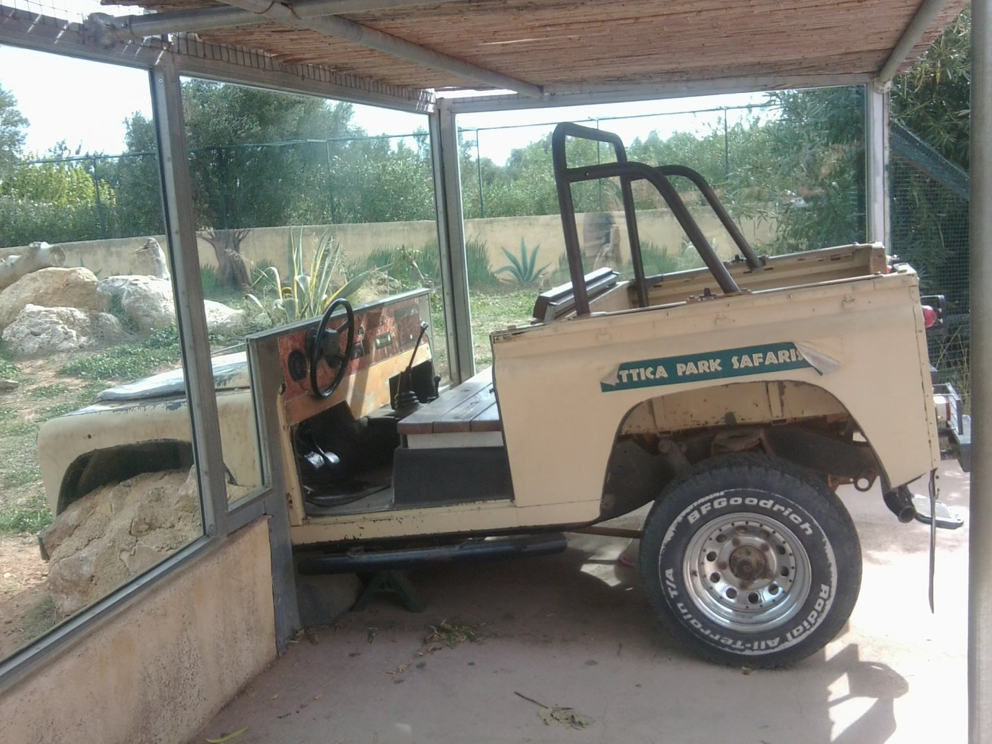 Safari car embedded into lion enclosure