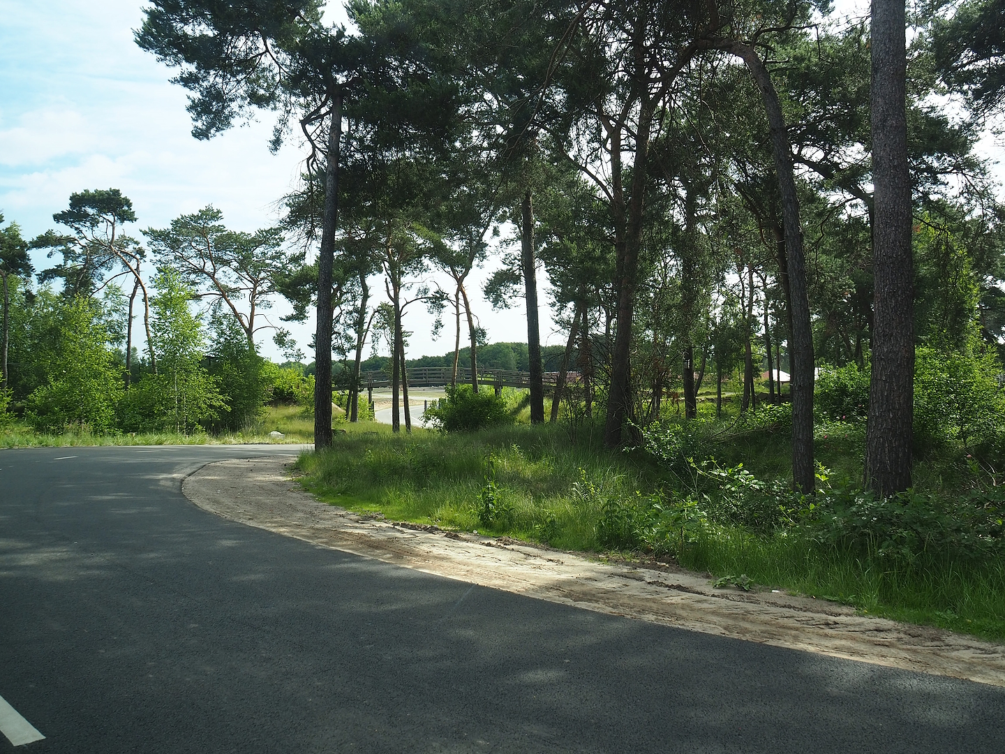 Safari car road heading towards the giraffe plains, 2022-06-12