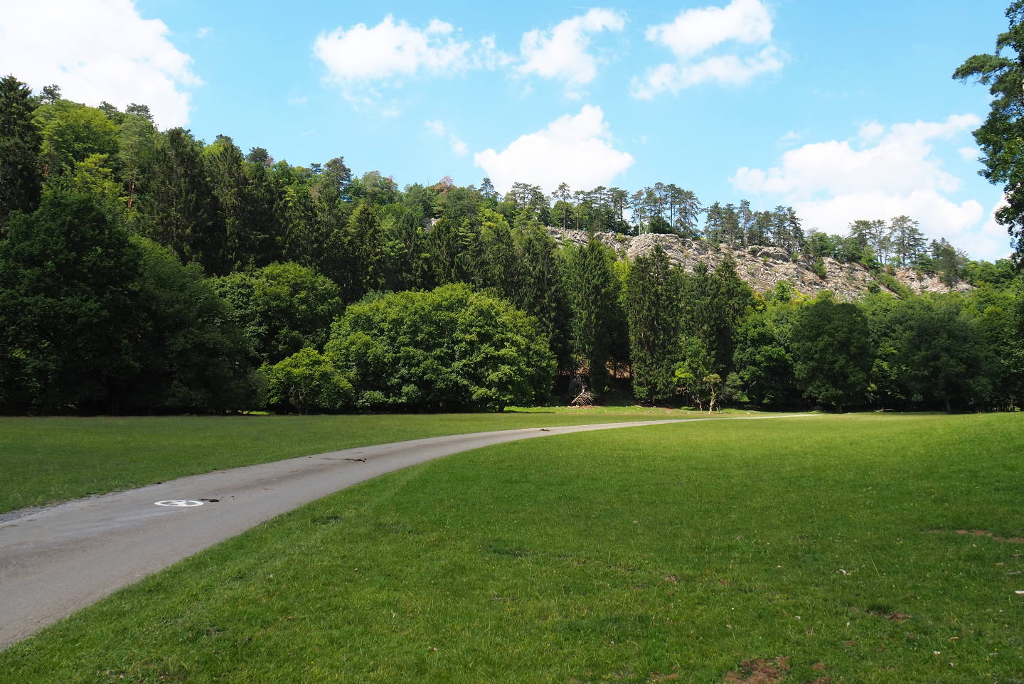 Safari car road in the large mixed hoofstock paddock, 2020-07-12