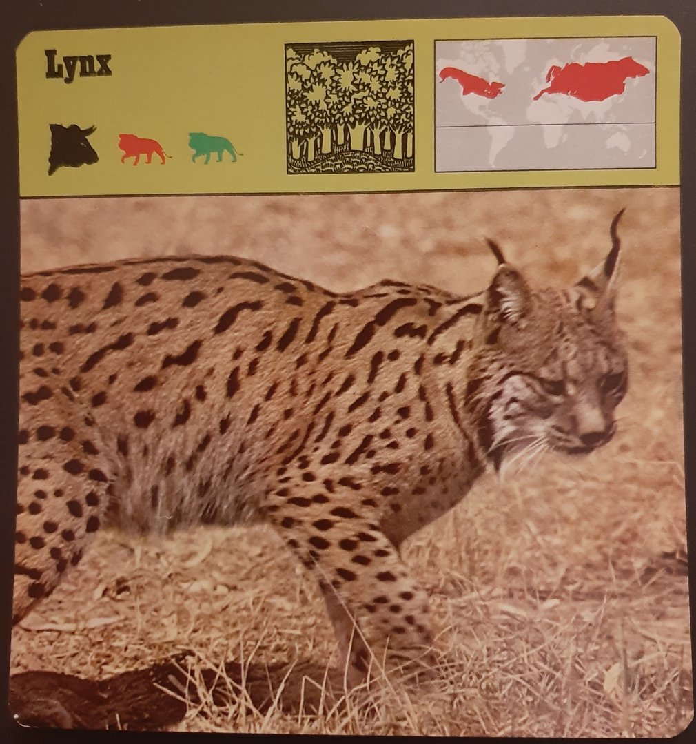 Safari Card - Request for identification