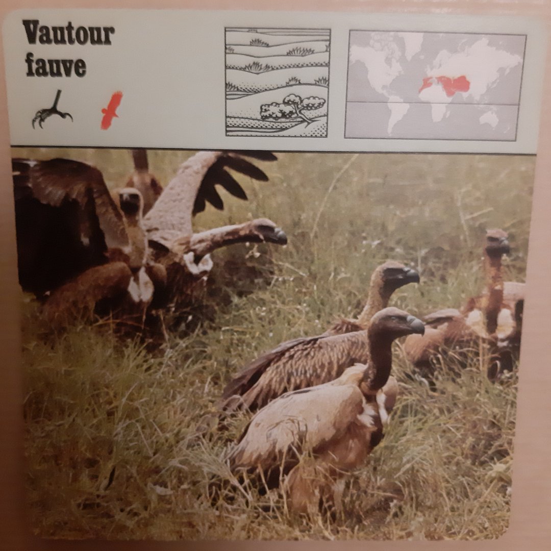 Safari Card - Request for identification