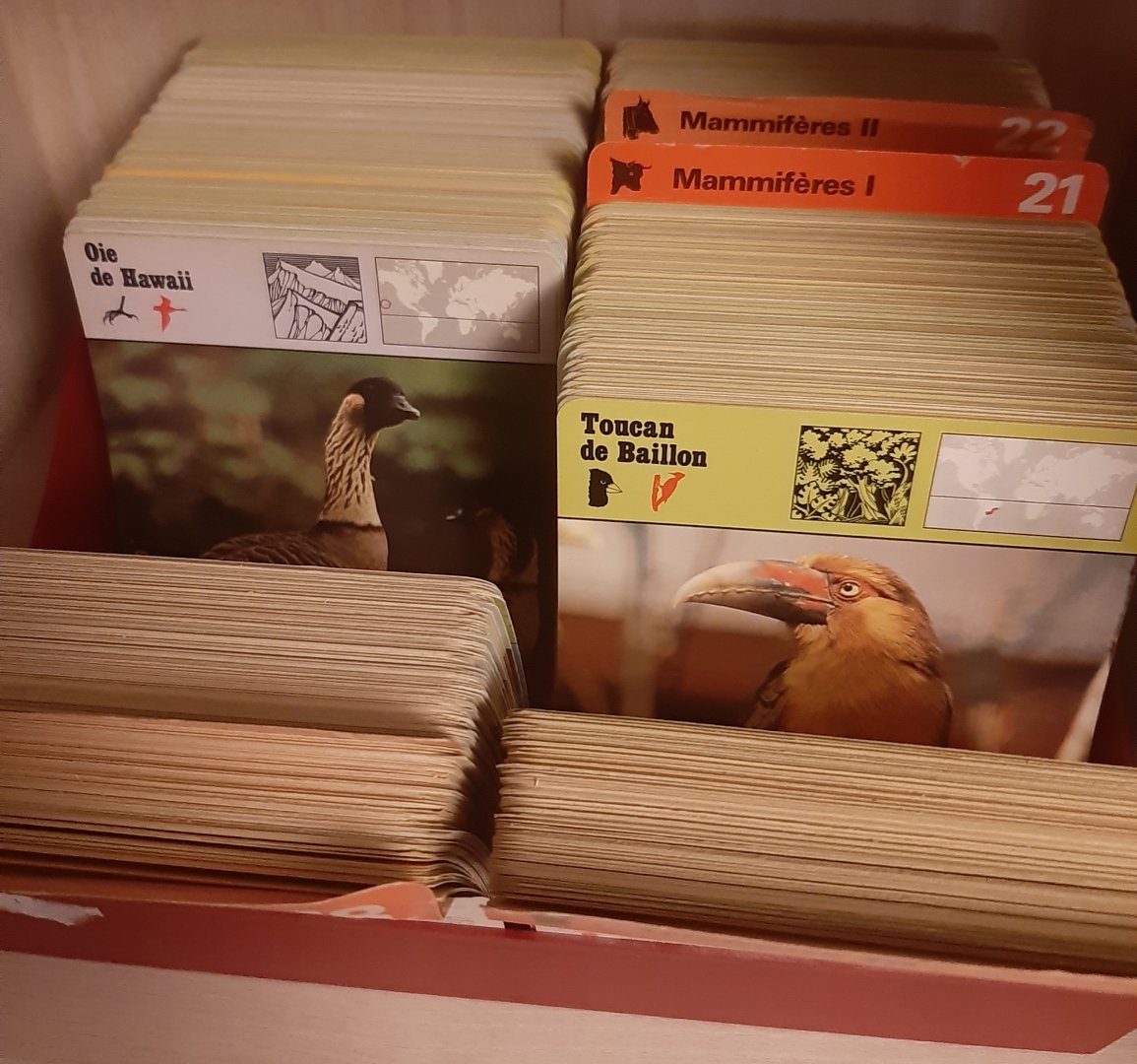 Safari Cards (Fichier Safari, en français)