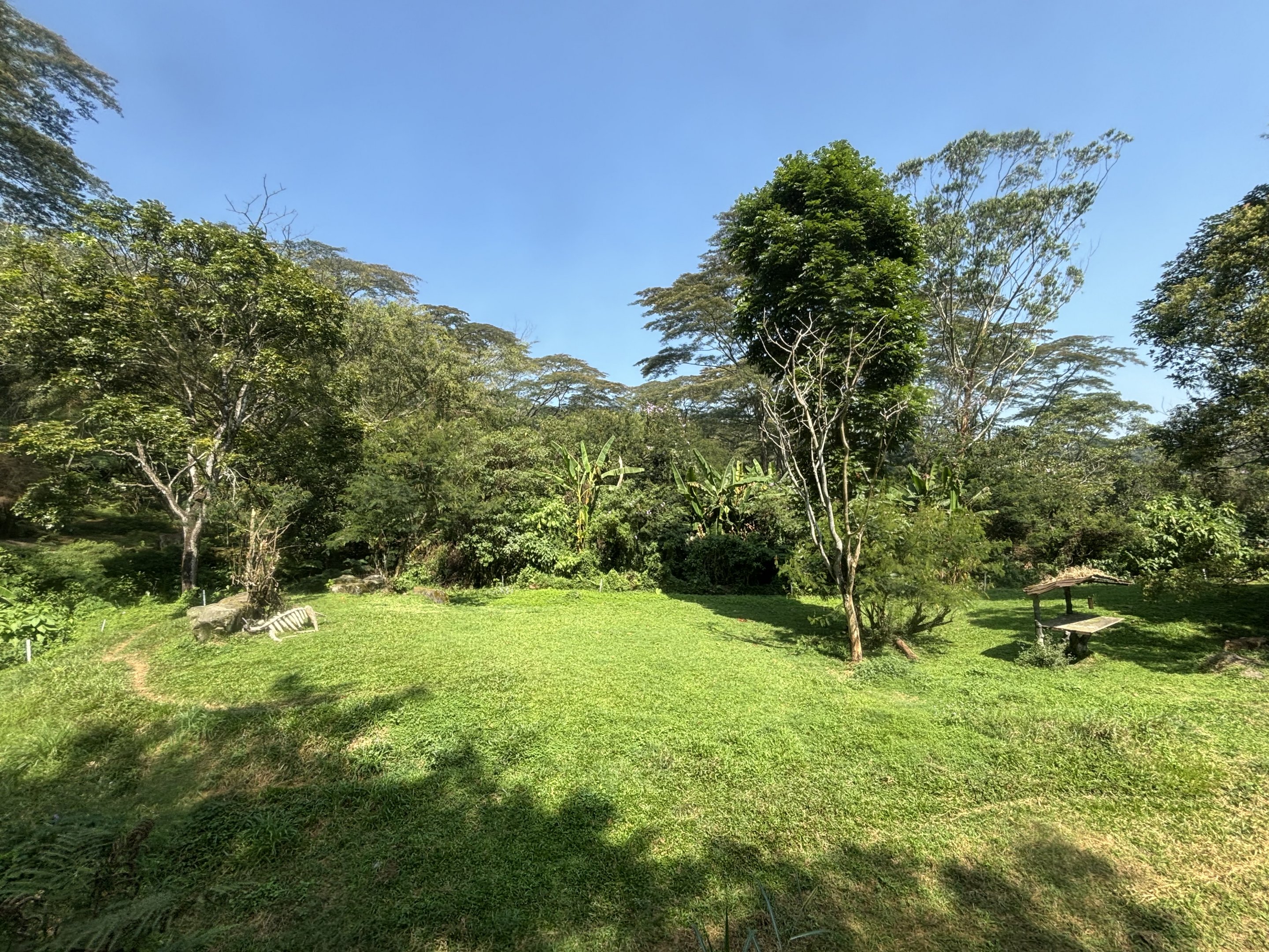 Safari - Cheetah Exhibit