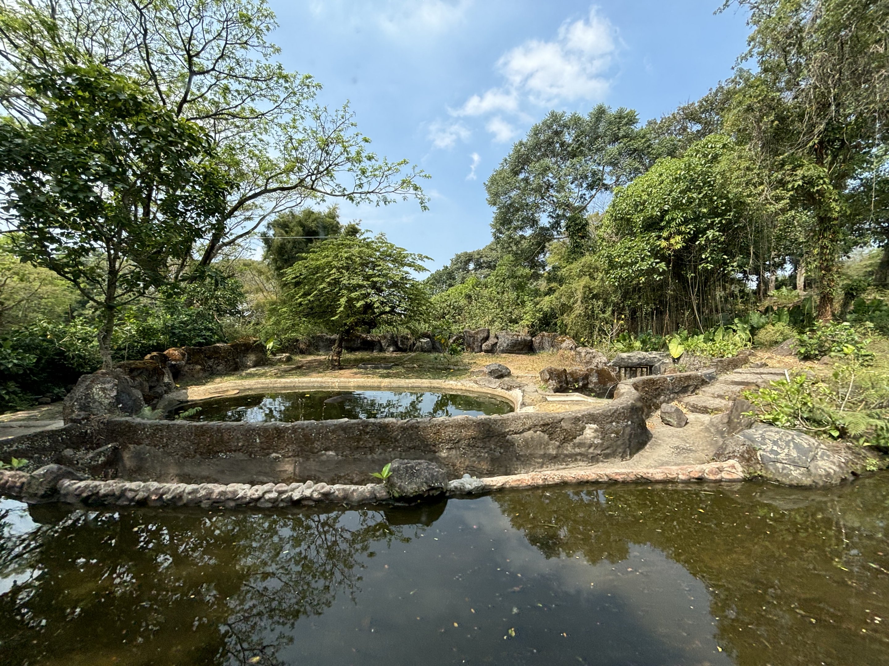Safari - Common Hippo Exhibit