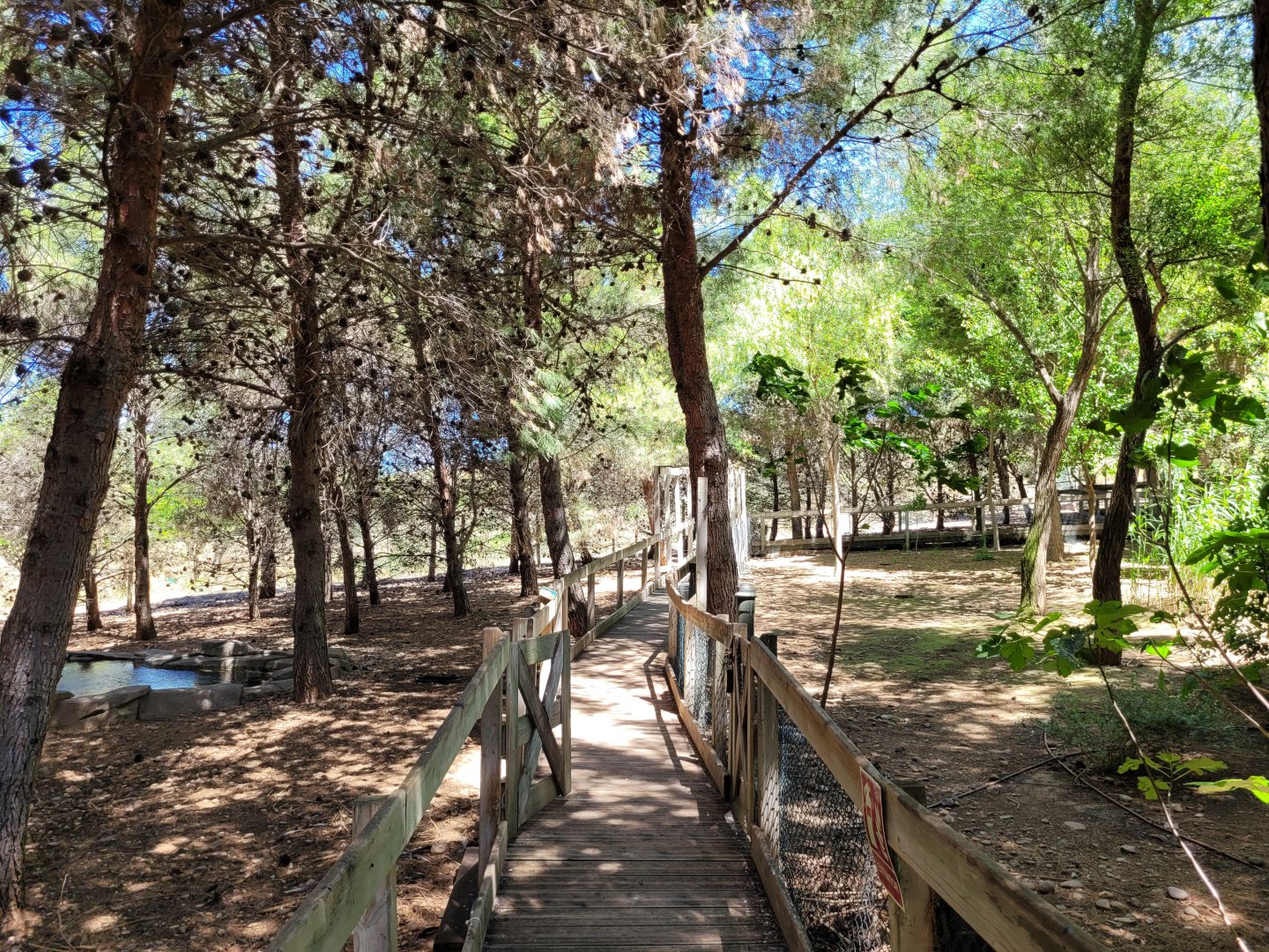 "Safari Fotográfico" -Sendaviva (2024)