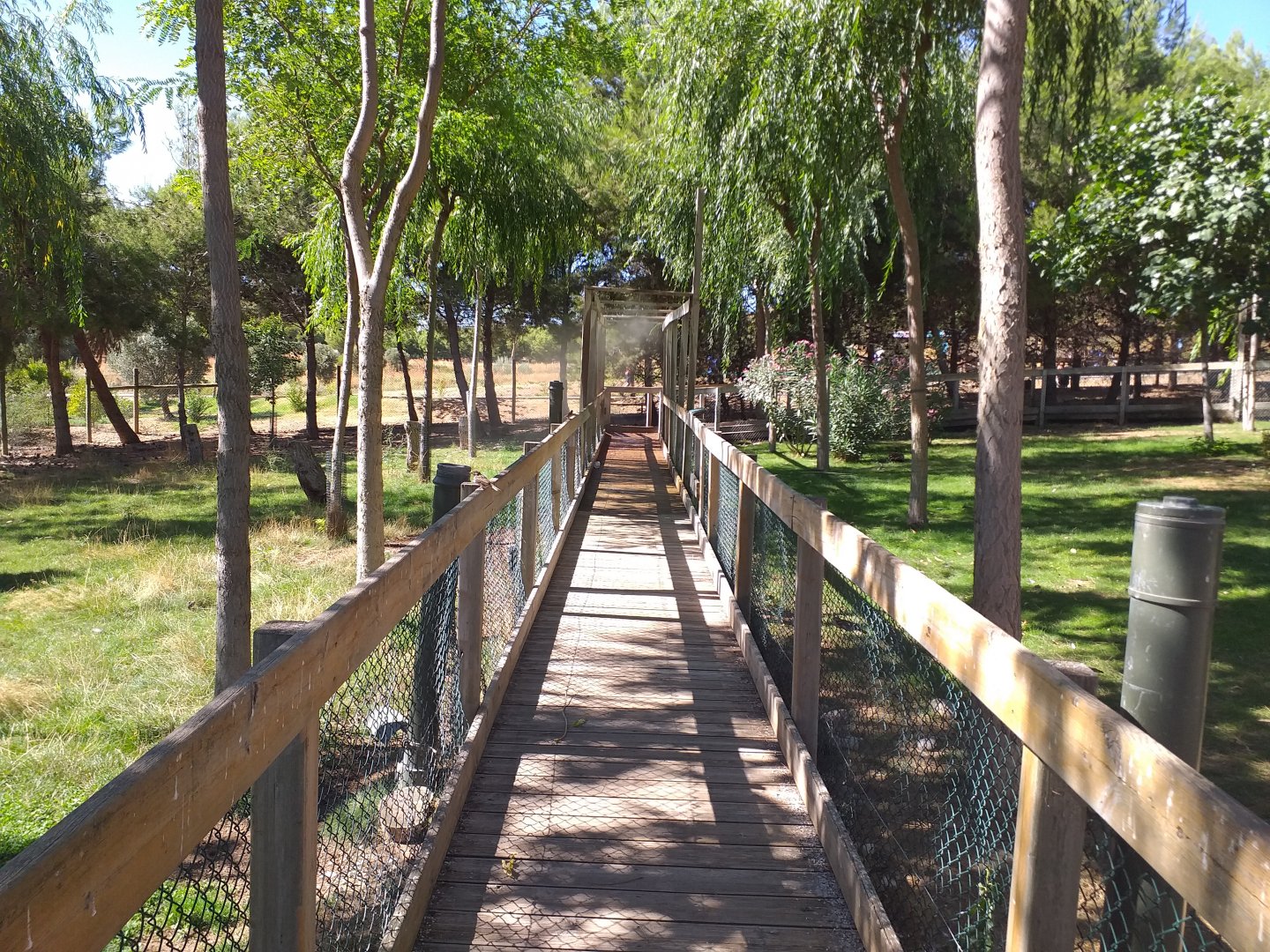 "Safari fotográfico" view -Sendaviva (2020)