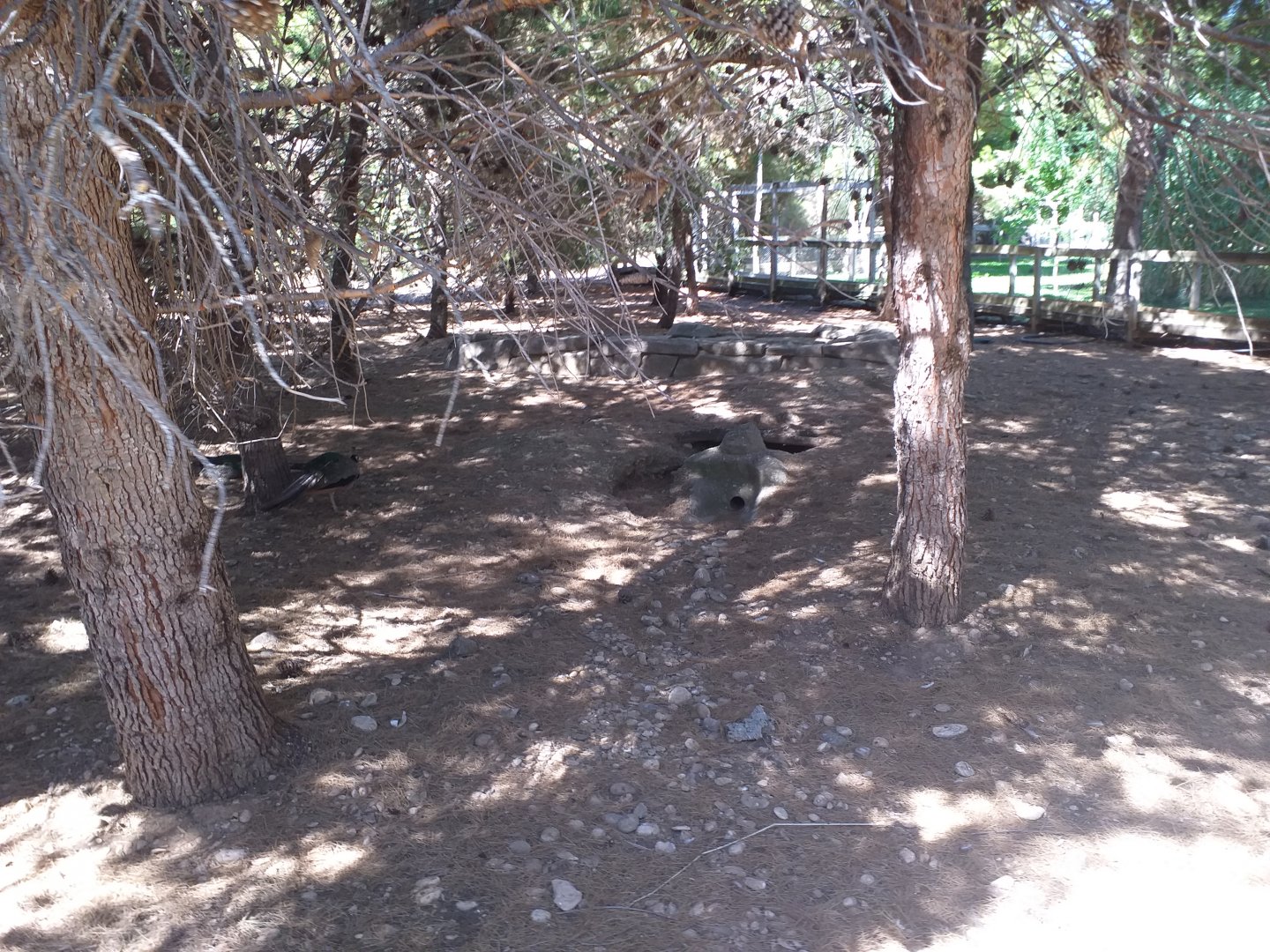 "Safari fotográfico" view -Sendaviva (2020)