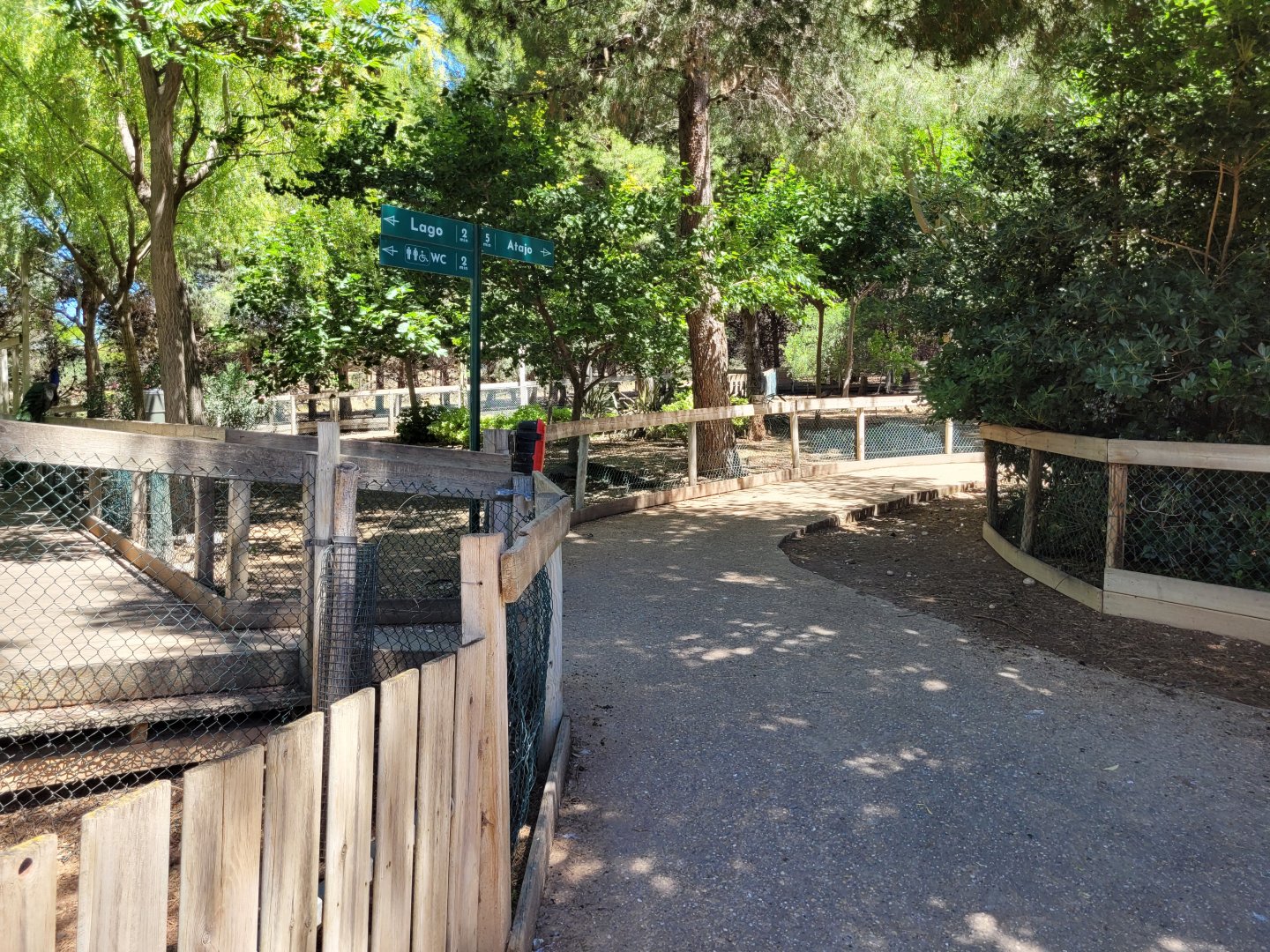 "Safari Fotográfico" view -Sendaviva (2024)