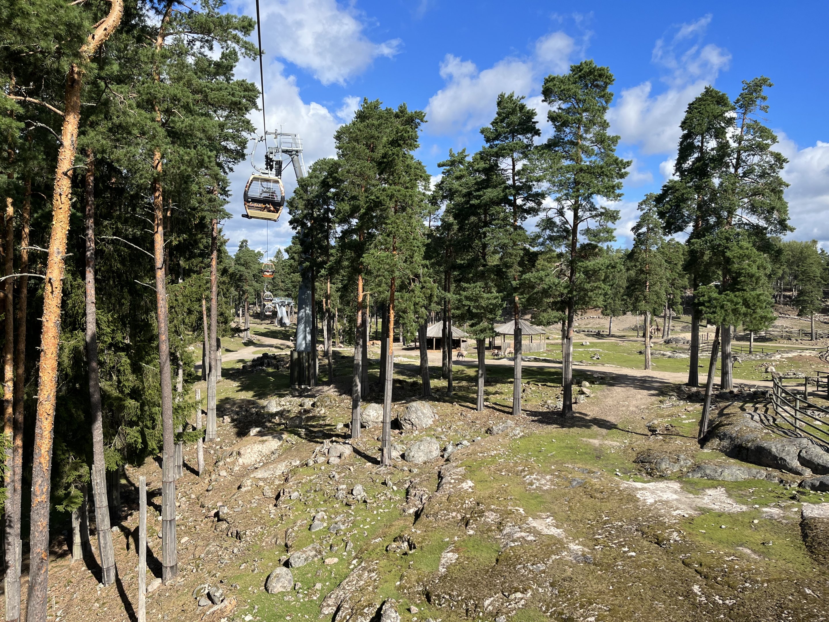 Safari Gondola Ride