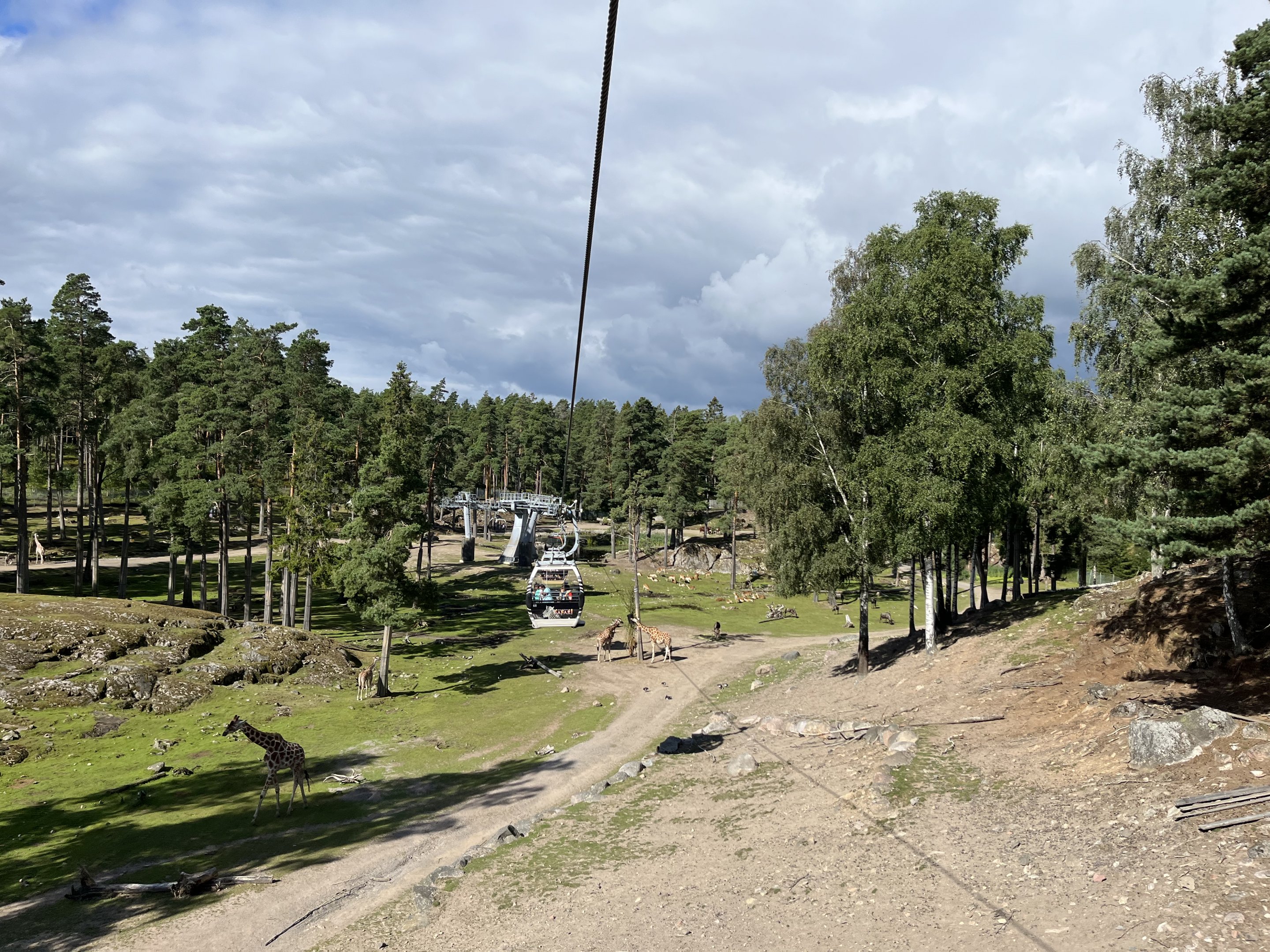 Safari Gondola Ride