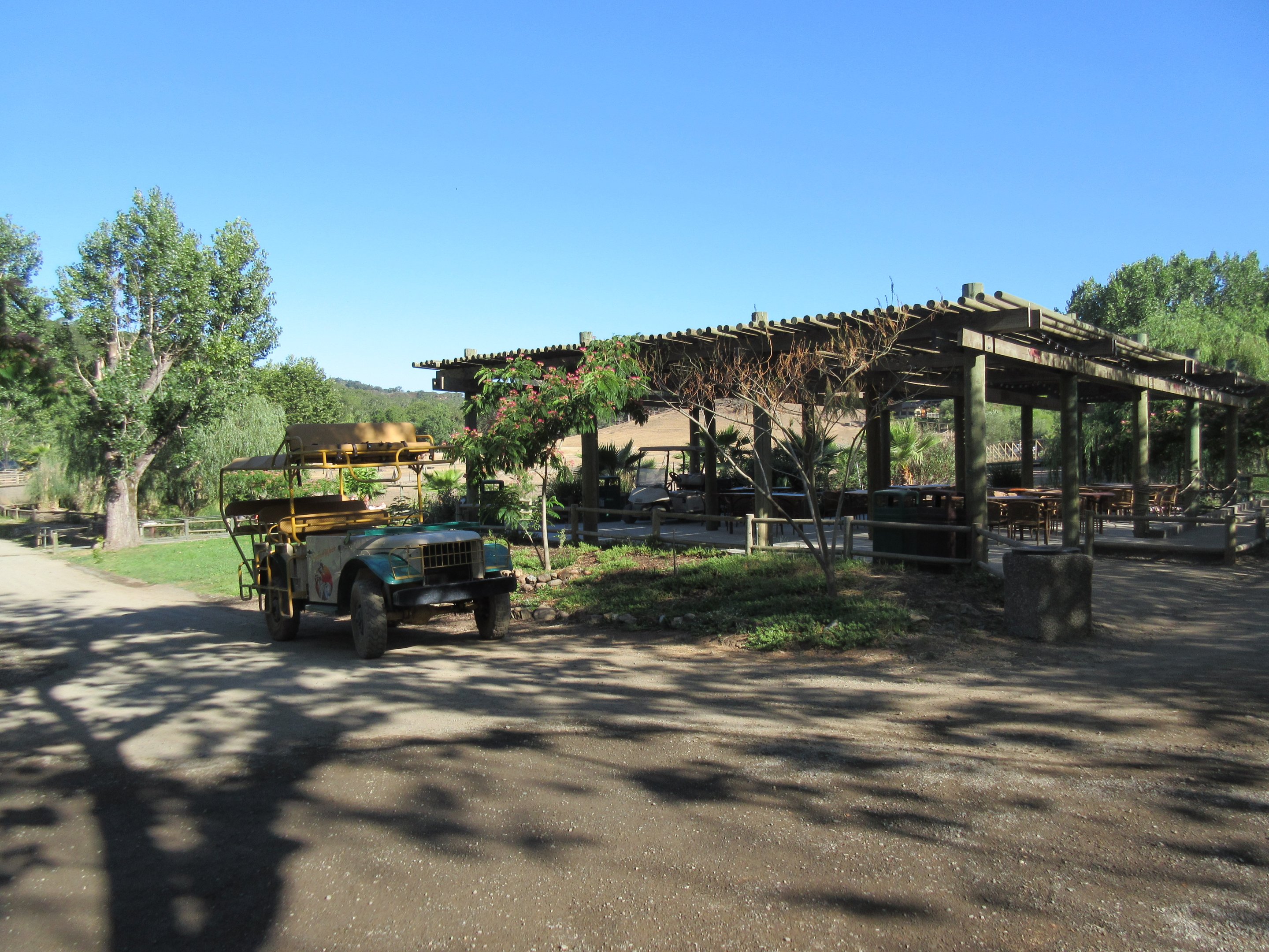 Safari Jeep + Viewing Deck