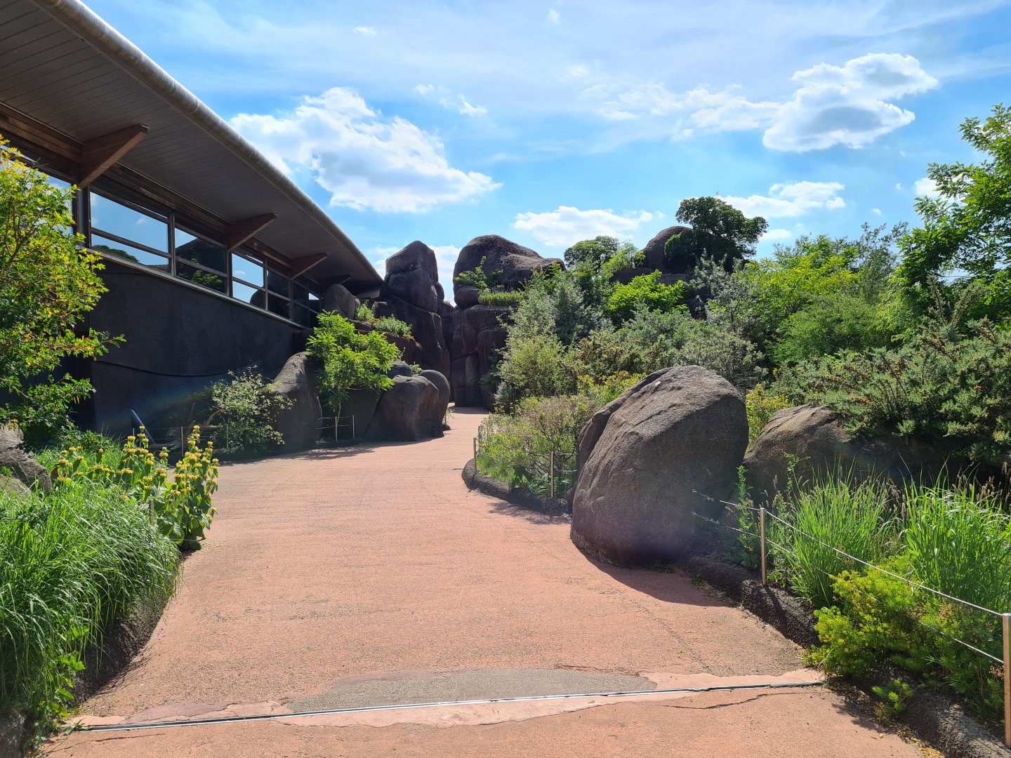 Safari - Kopje walkway