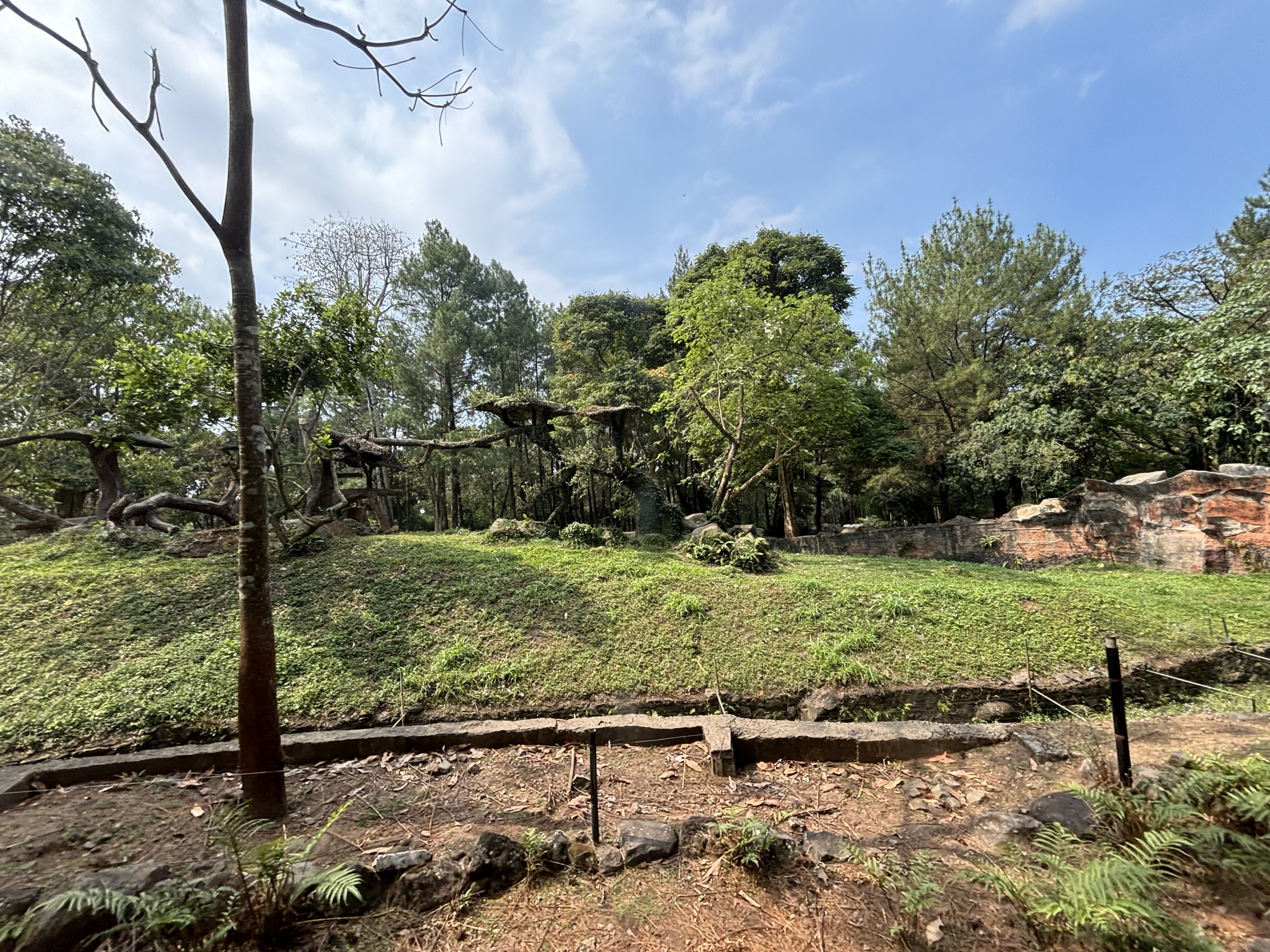 Safari - Leopard Exhibit