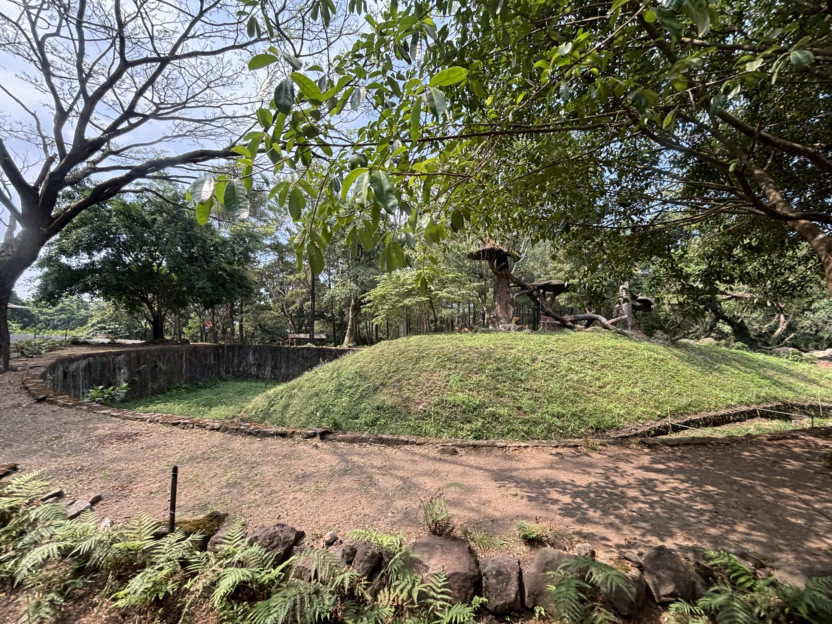 Safari - Leopard Exhibit