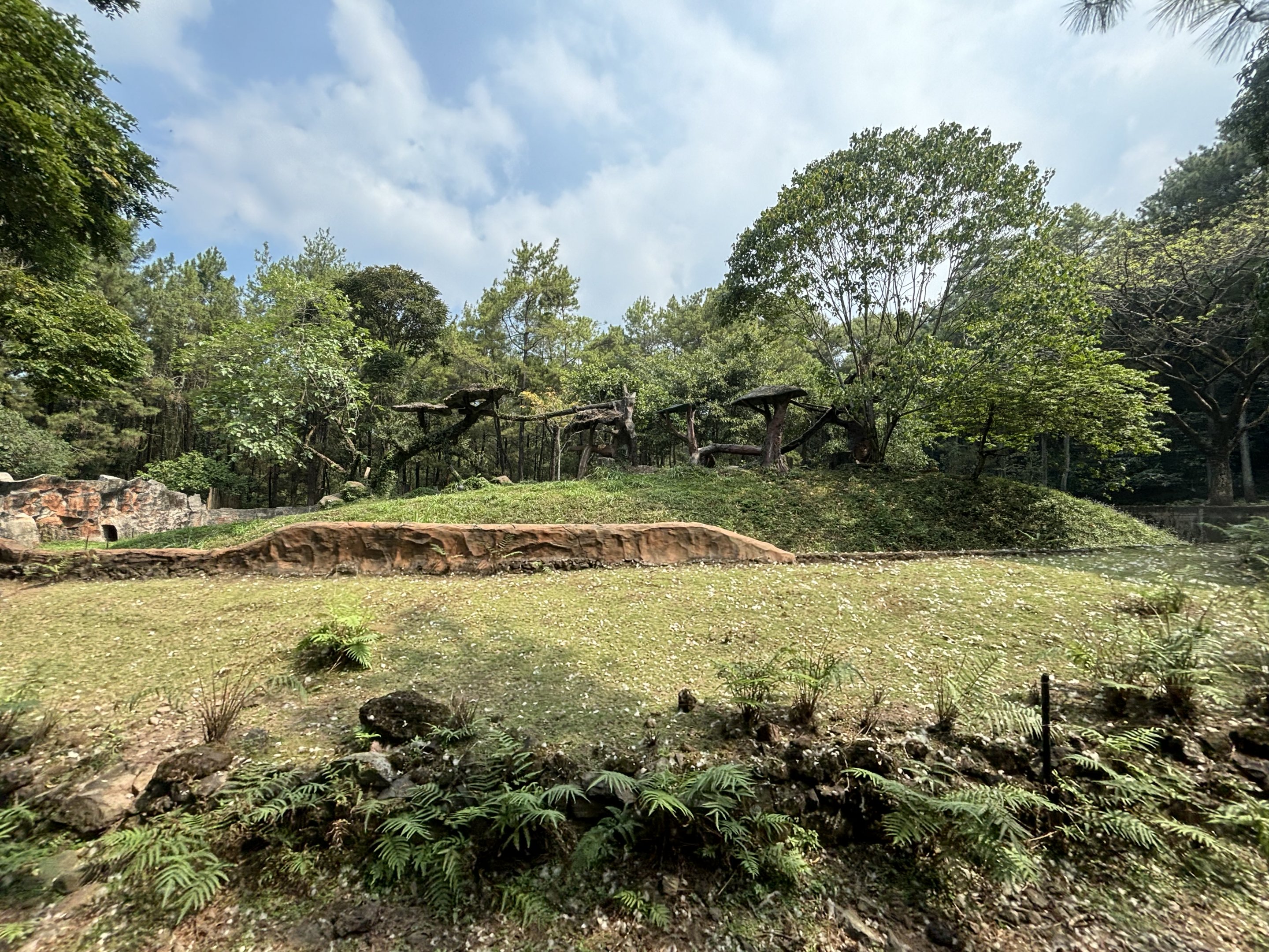 Safari - Leopard Exhibit