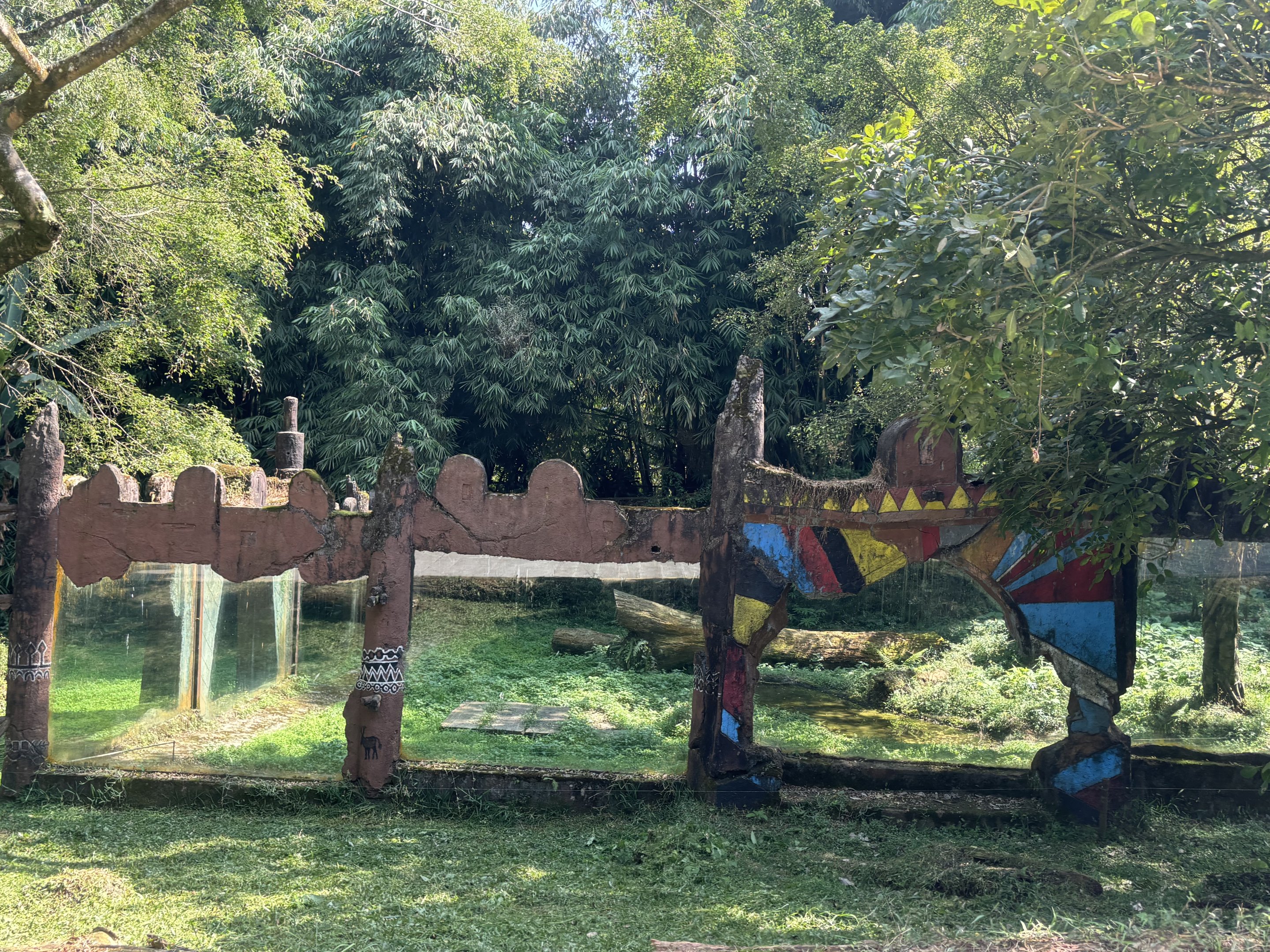 Safari - Lion Exhibit #2