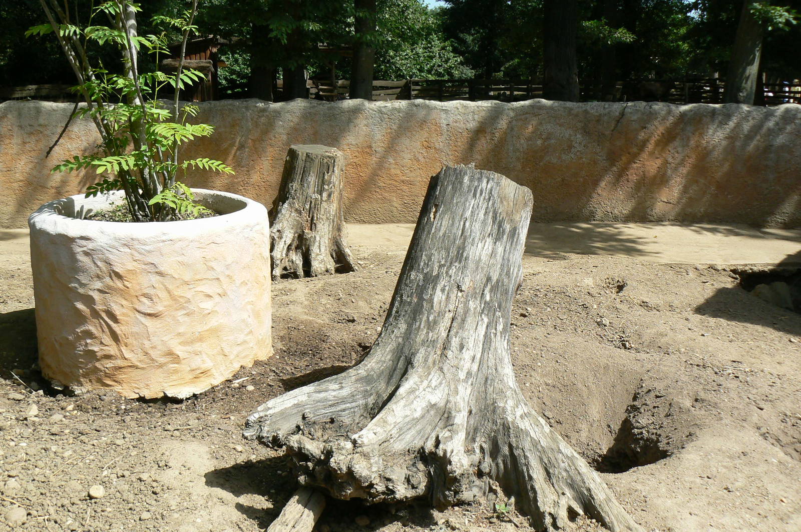 Safari lodge -crested porcupines enclosure (part of)