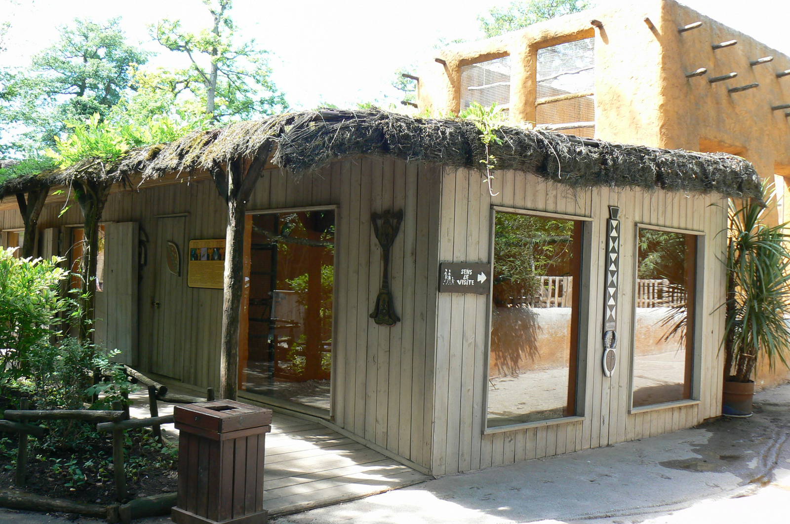 Safari lodge - grey parrots, senegal parrots and splendid glossy starlings