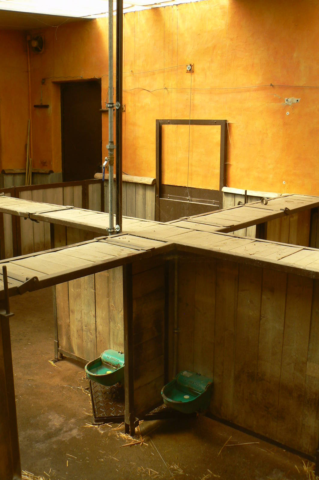 Safari lodge - red river hogs house interior